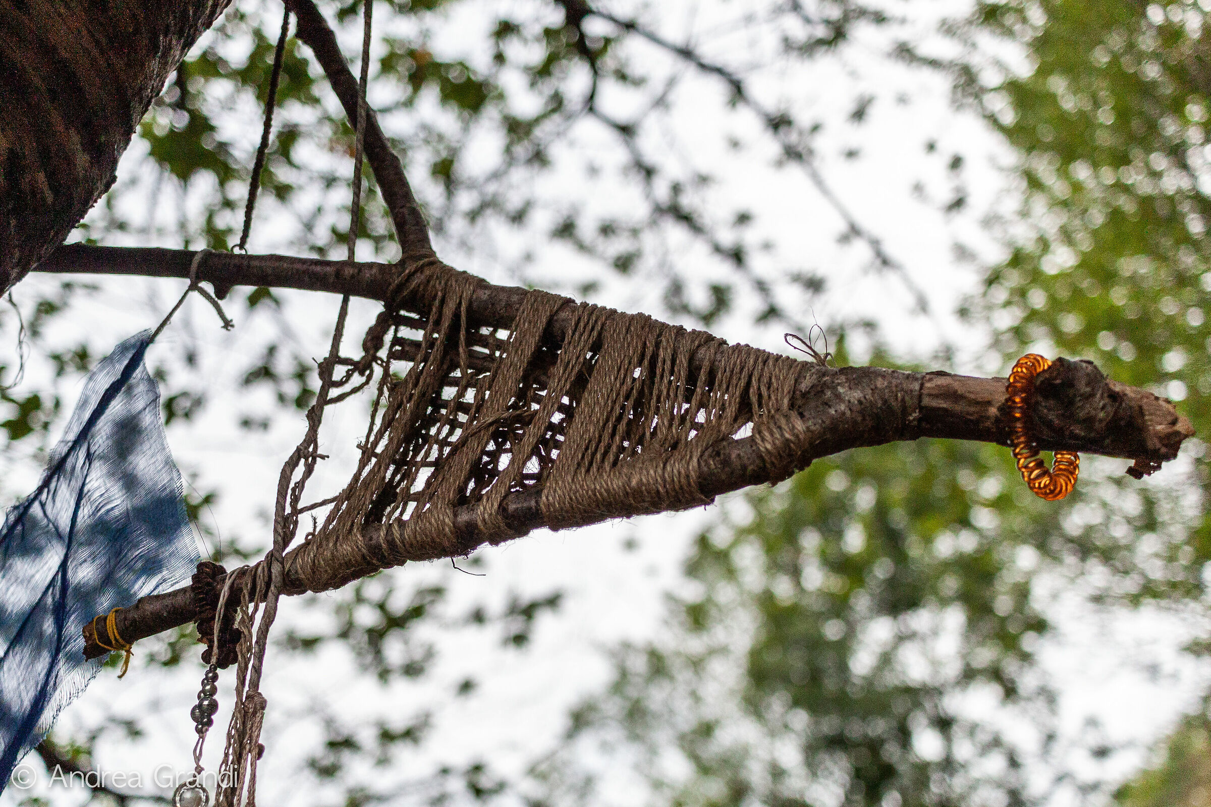 Tree decorations with eyes