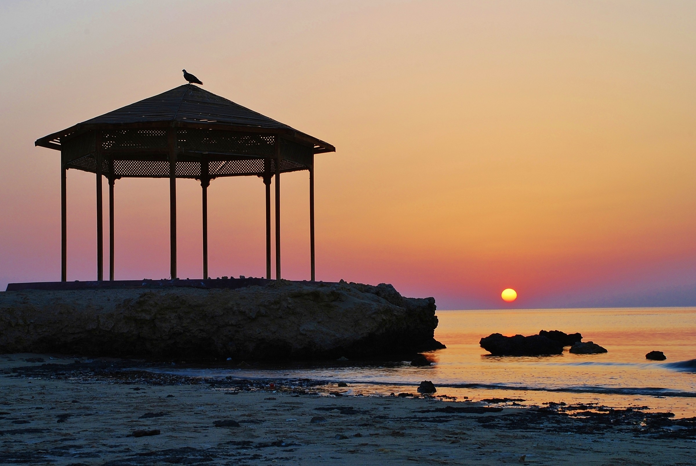Alba con pagoda e falco del deserto