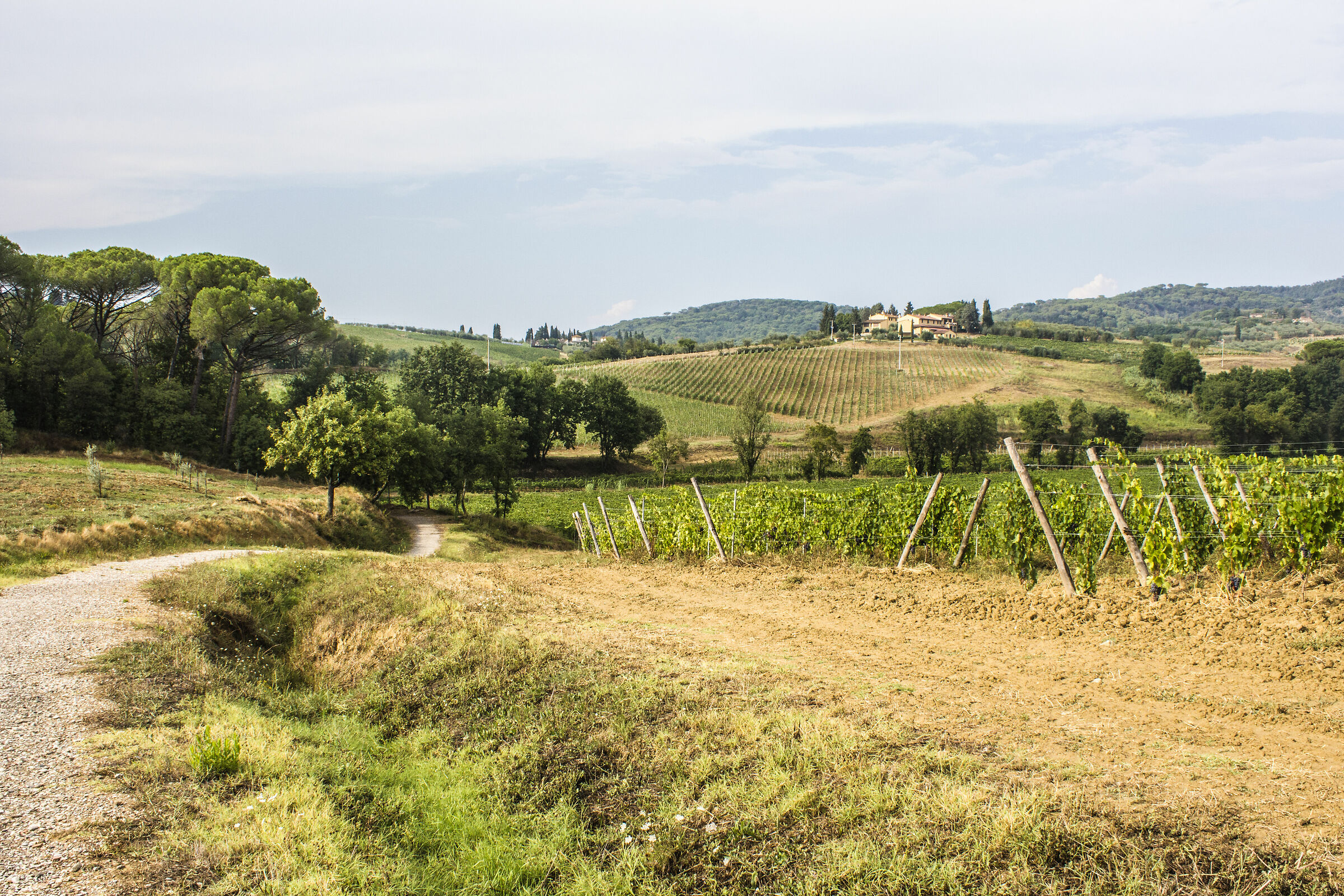Agricultural landscapes