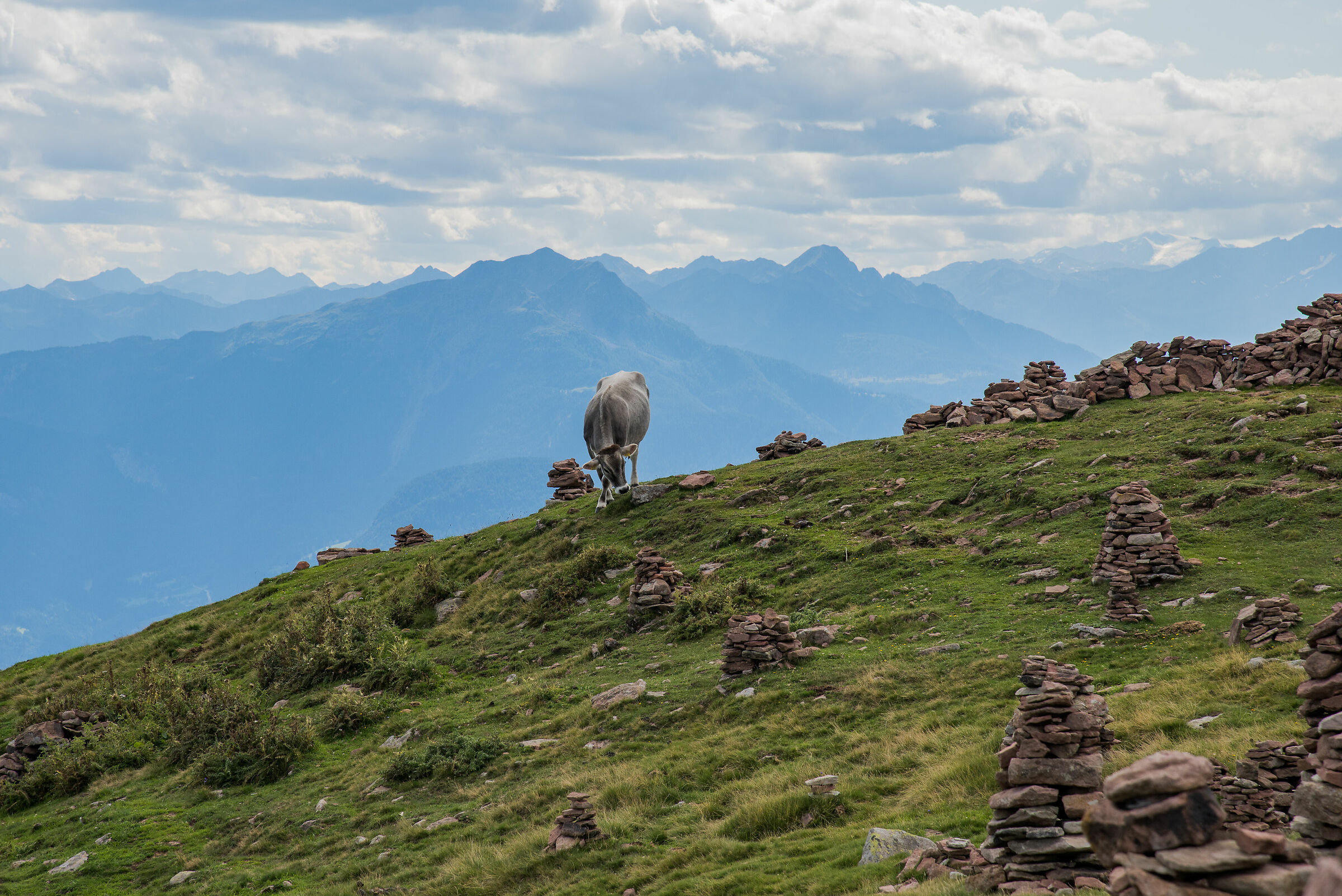 The bow of the Lady of the Mount