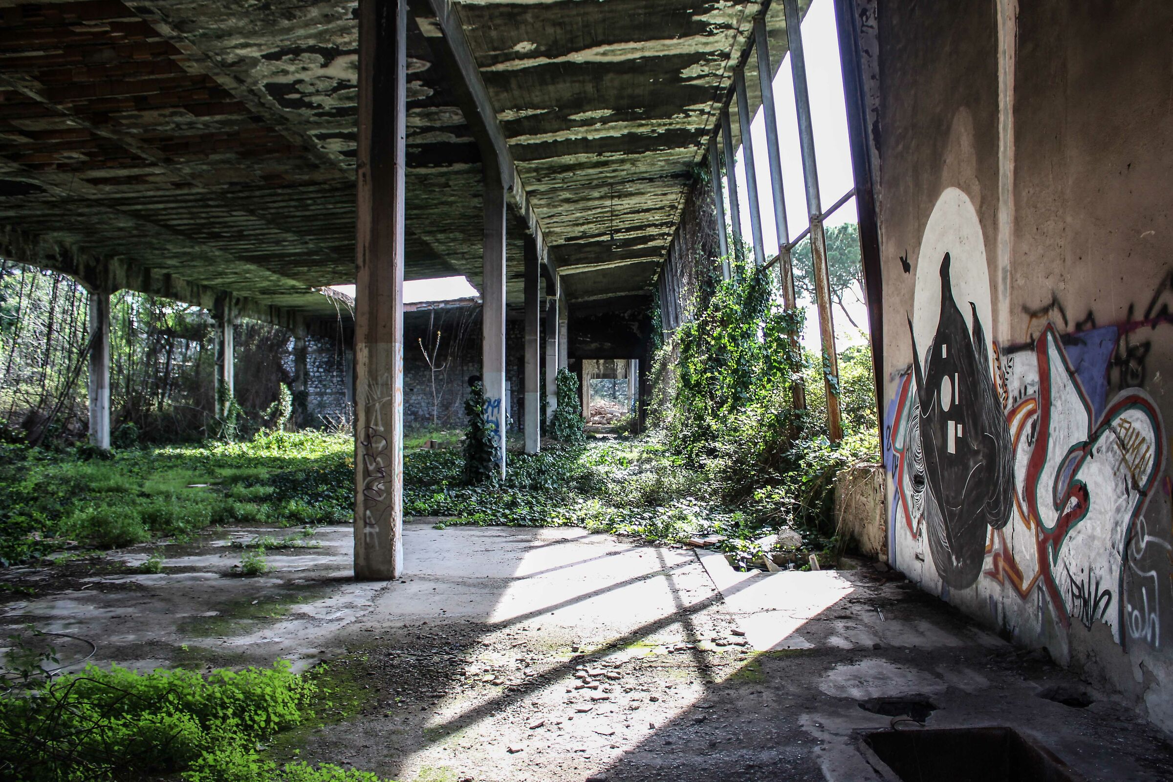 Nature takes back its spaces