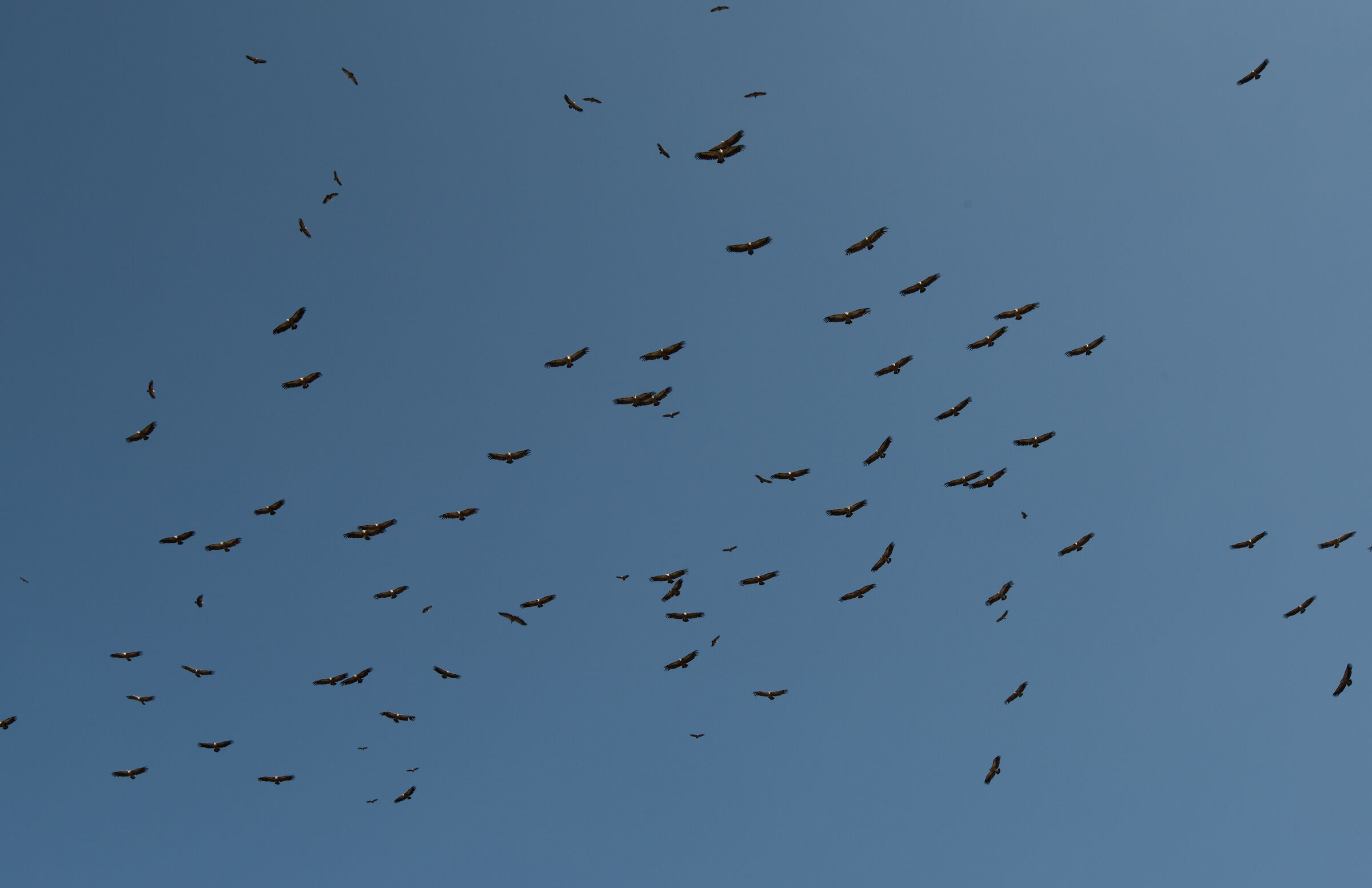 Disturbing while walking in the sun