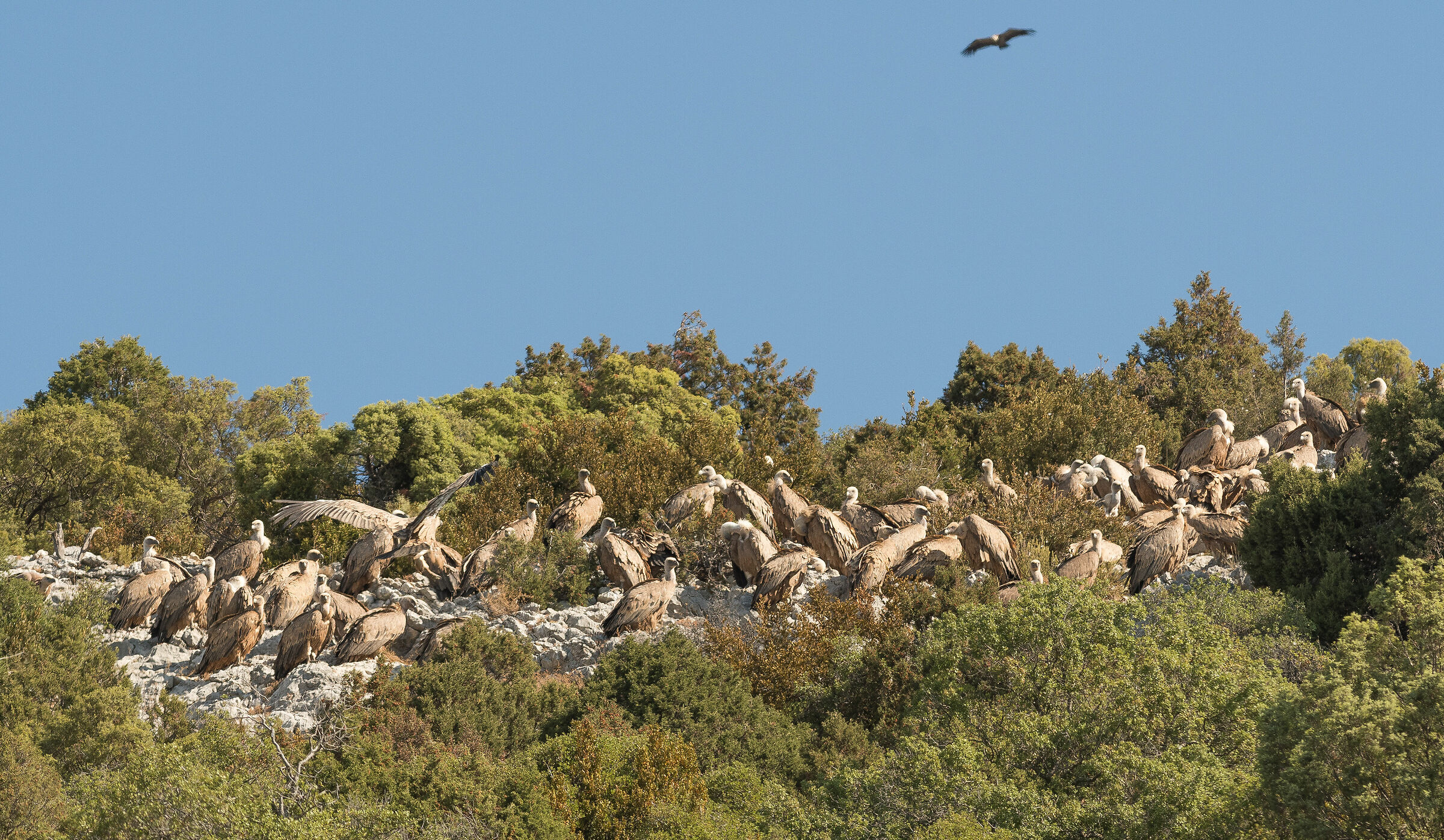 Waiting for the meal