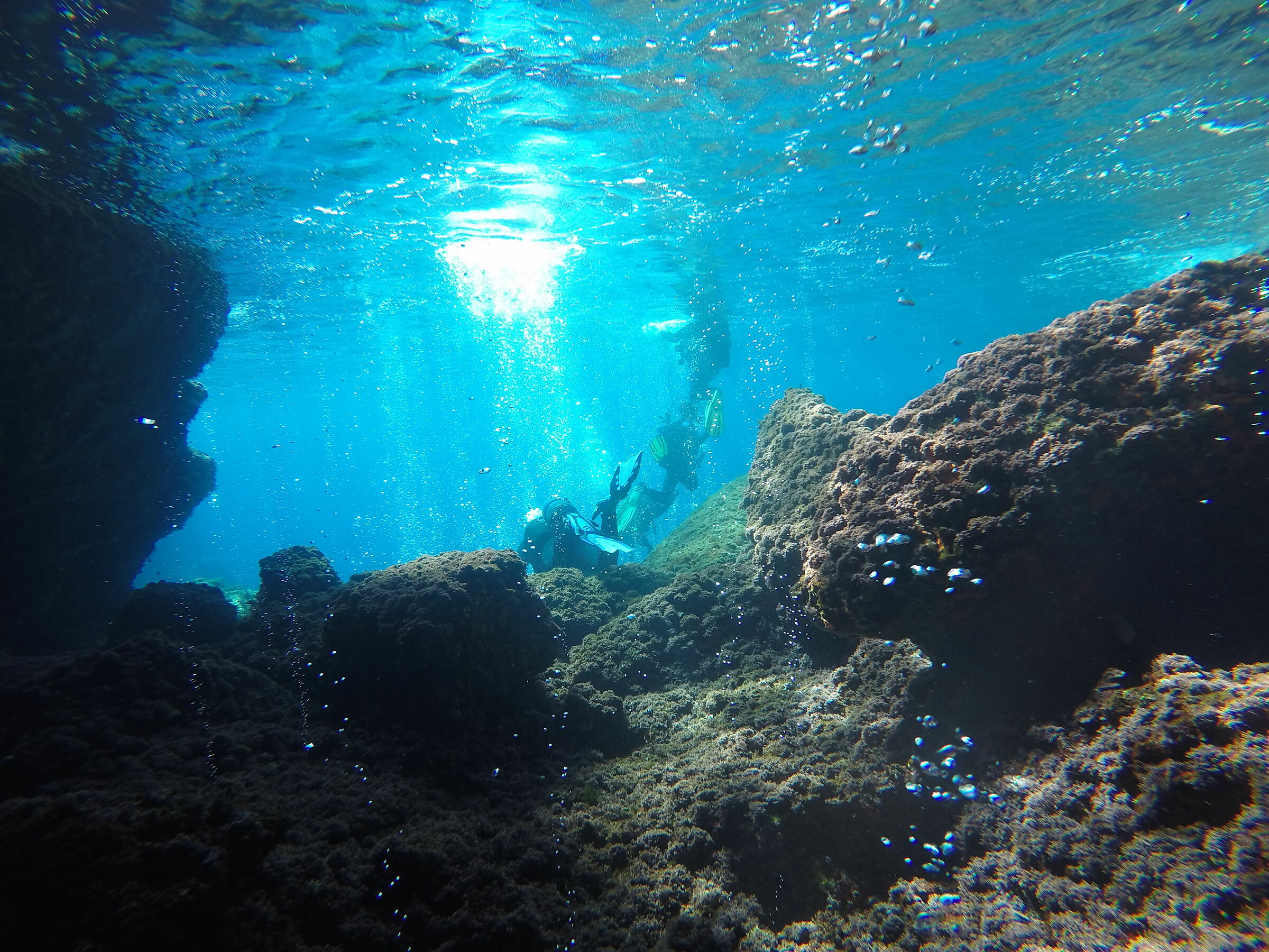 Diving "The Well" Alghero