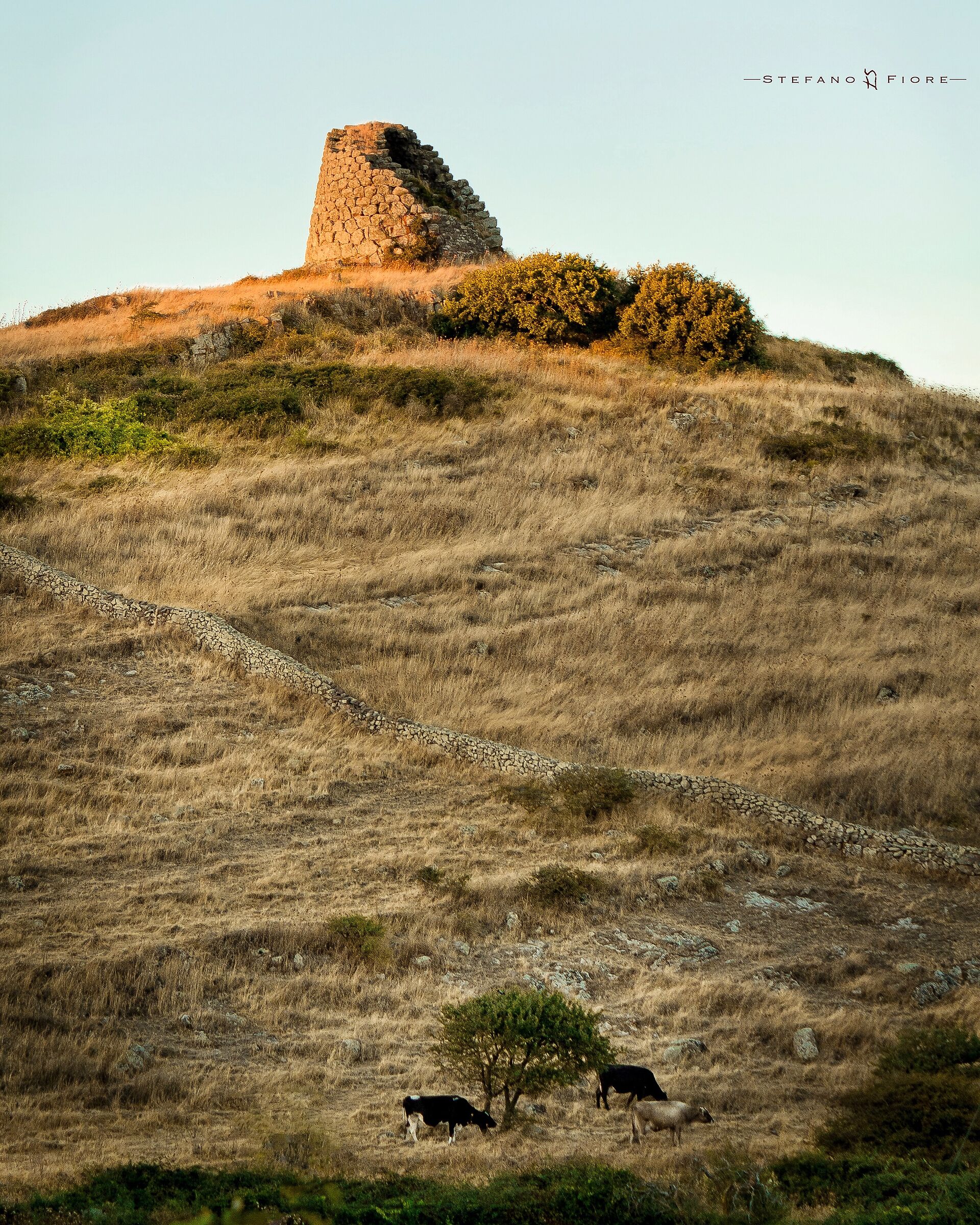 Natural Balance (Nuraghe Ruiu- Macomer)