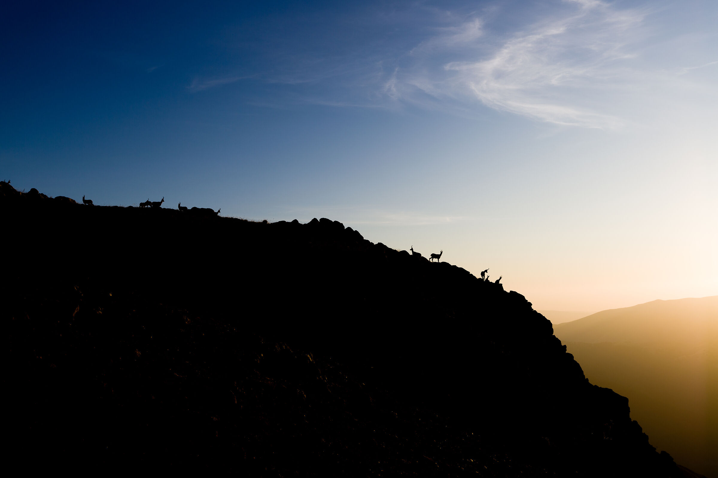 Camosci on the horizon