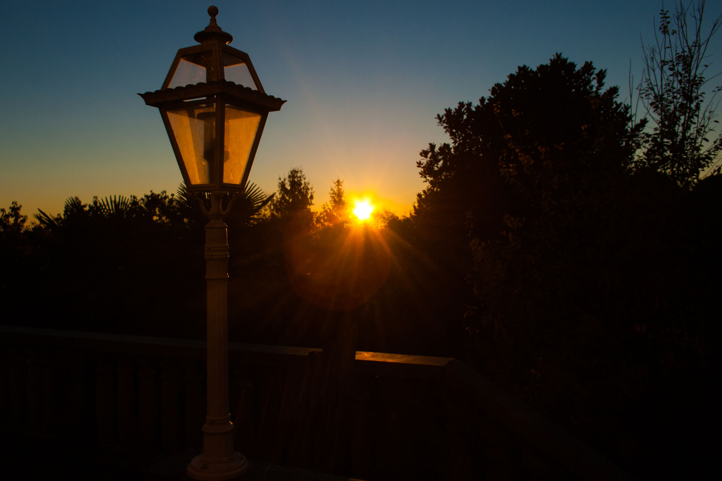 Dawn