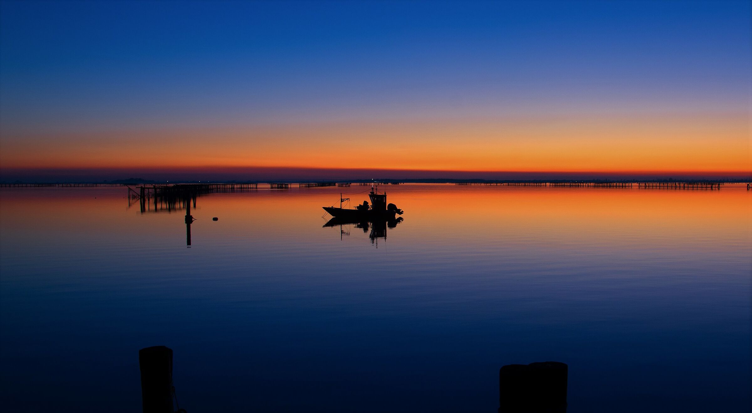 Sacca degli scardovari