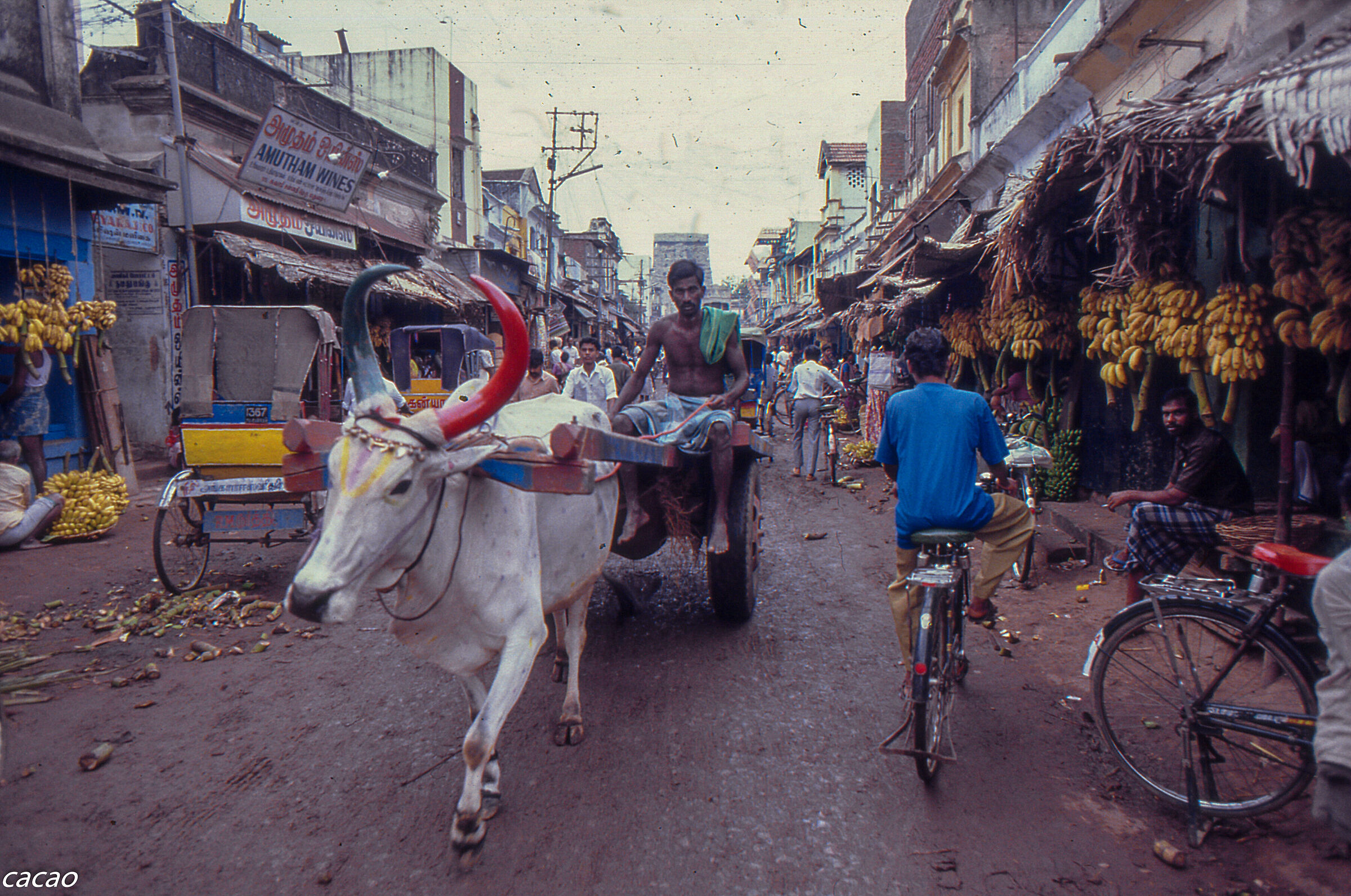 Madras India caos calmo