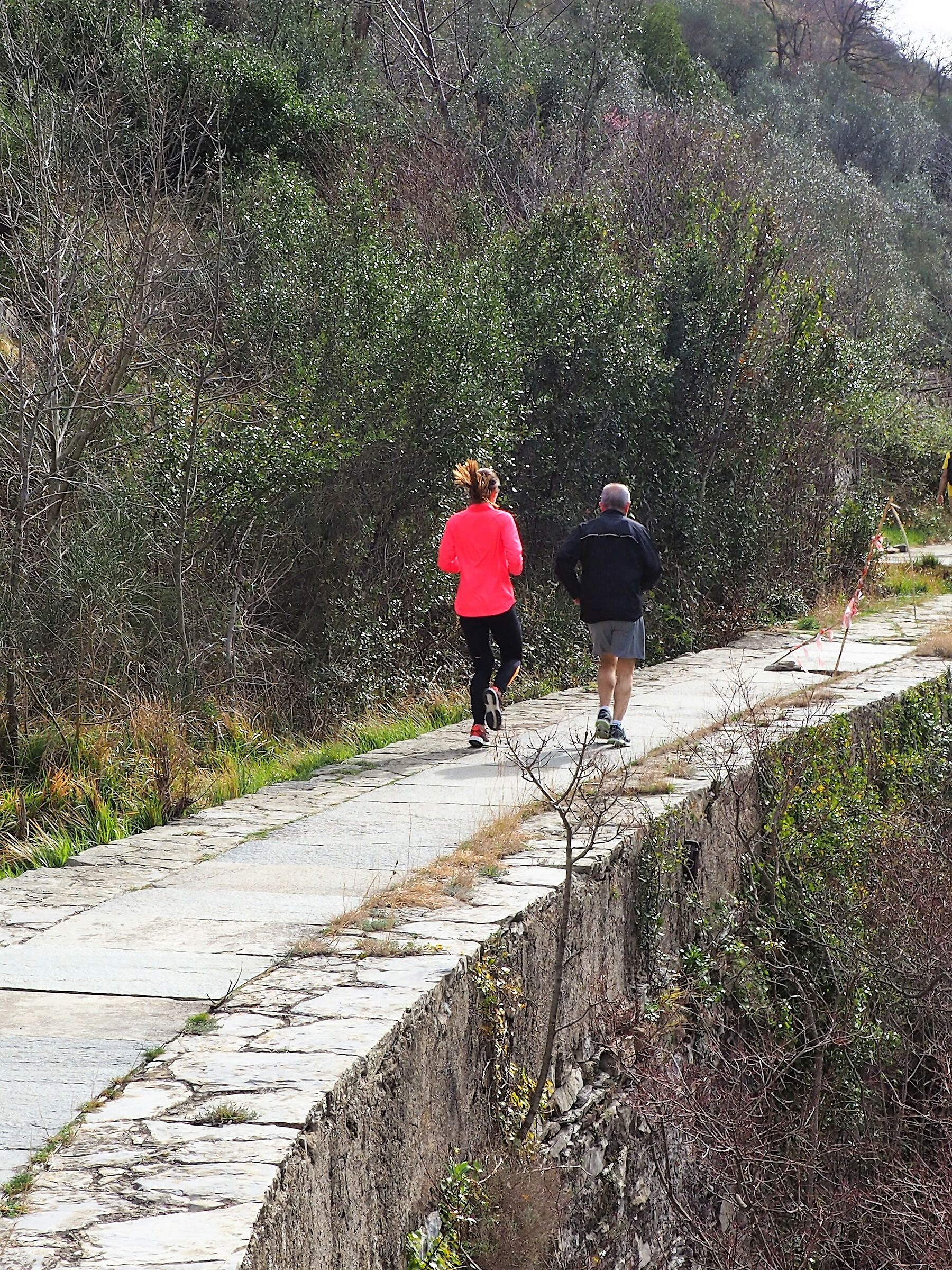 Historic Aqueduct of Genoa II