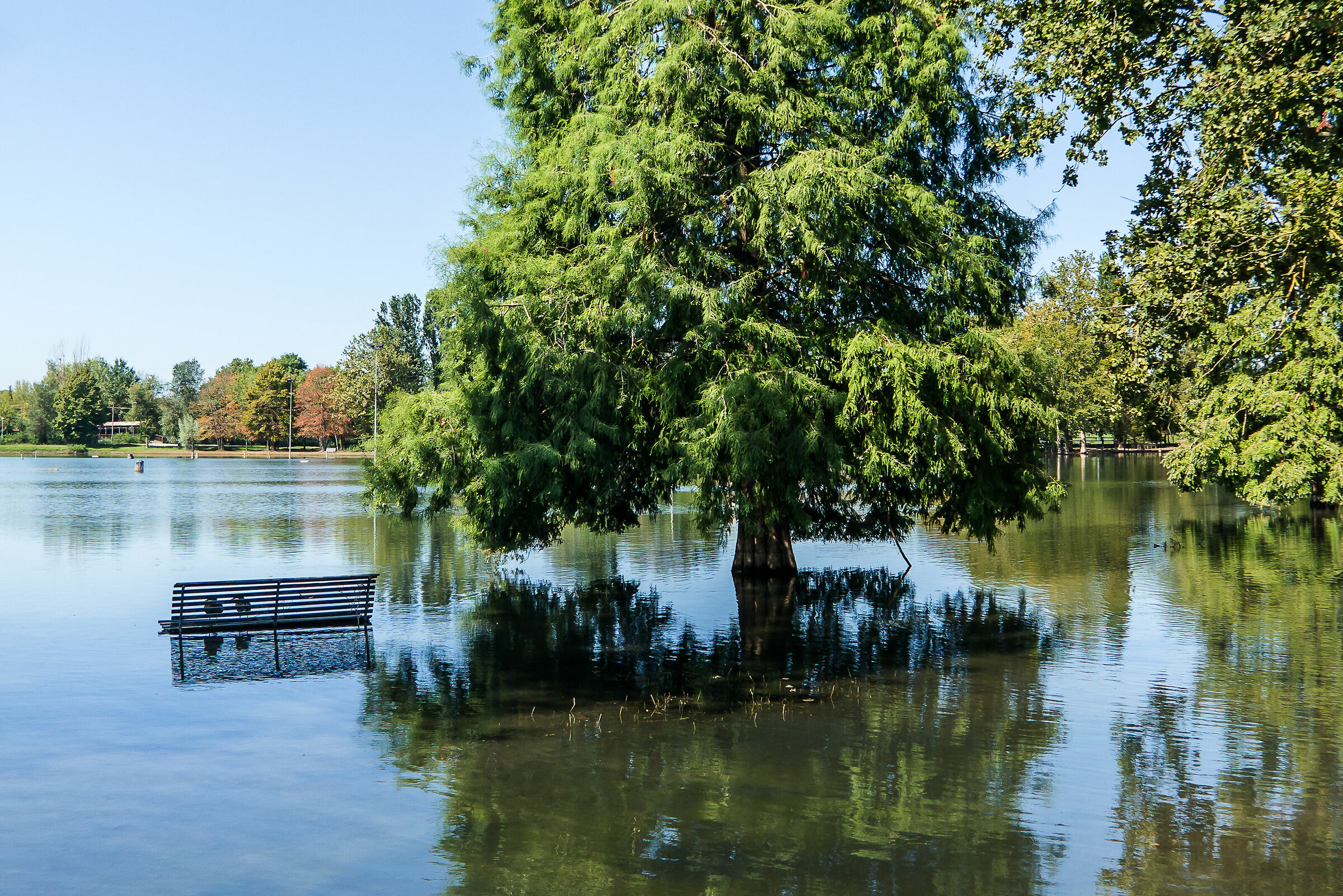 I told you to shut down the water!