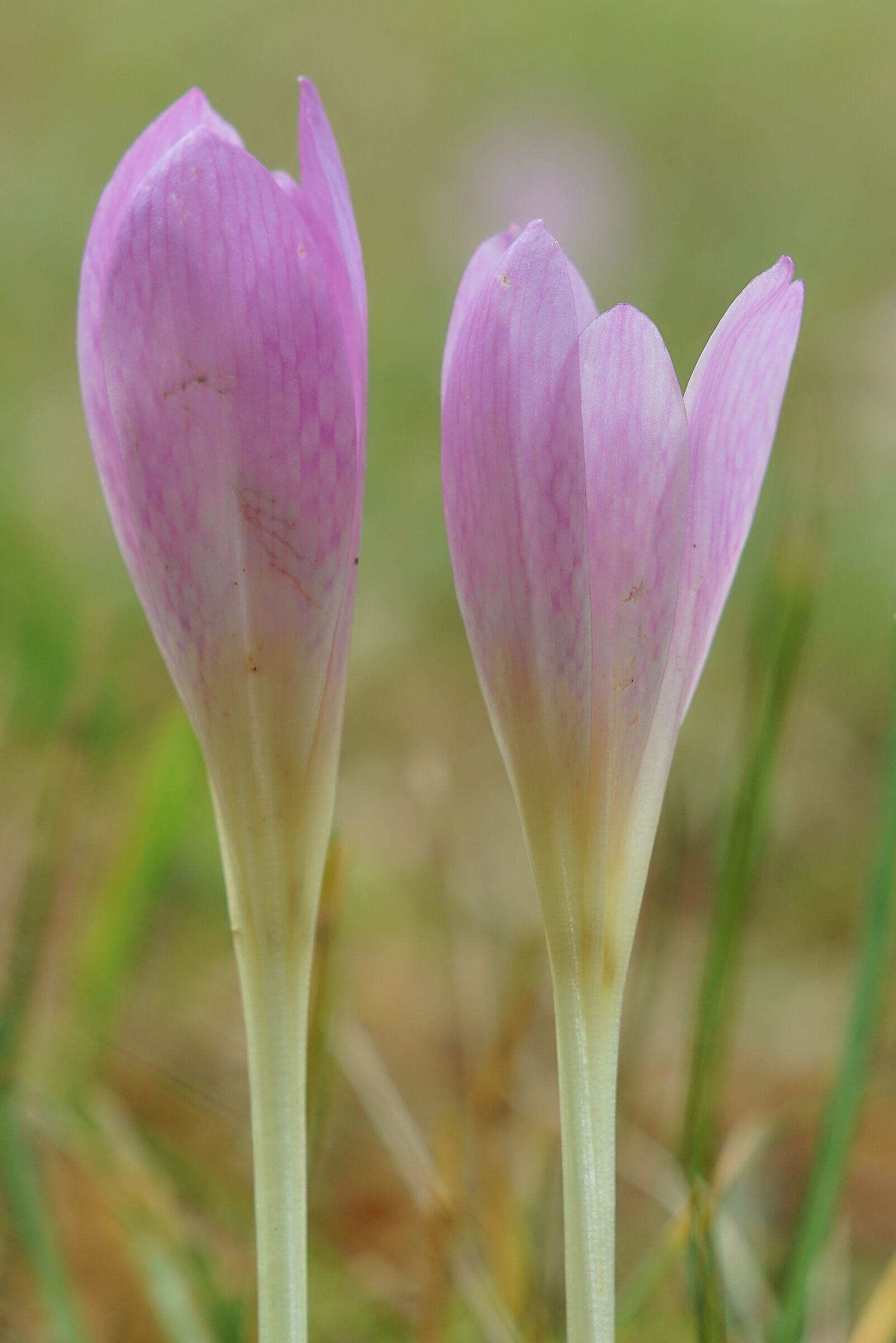 Insieme aspettando l'autunno