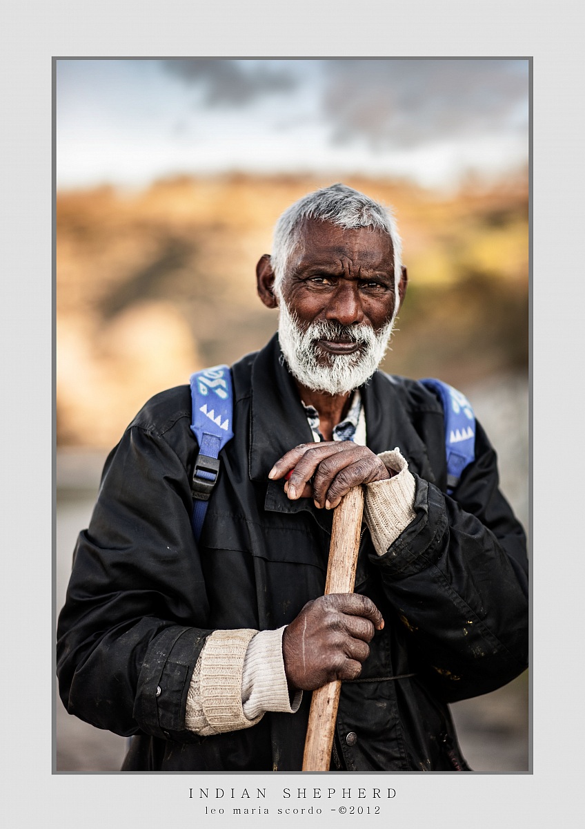 indian shepherd