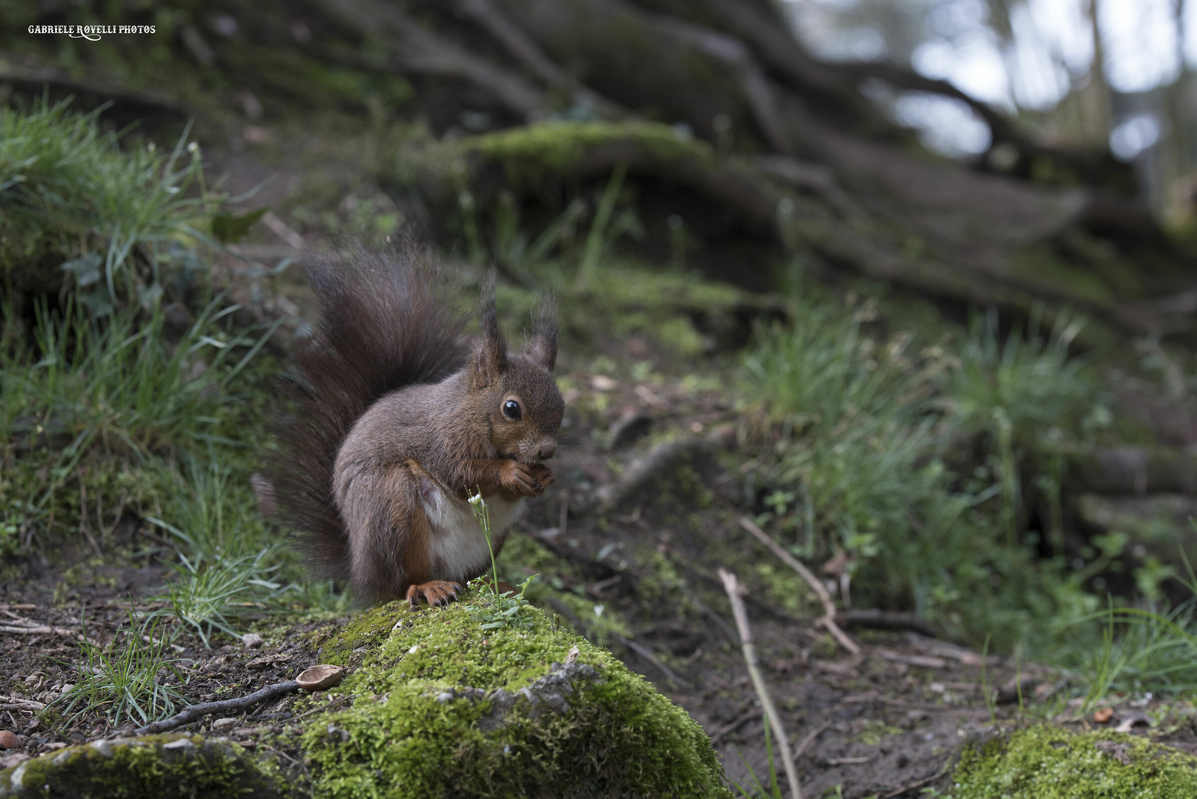 Lasciatemi stuzzicare qualcosa!!!