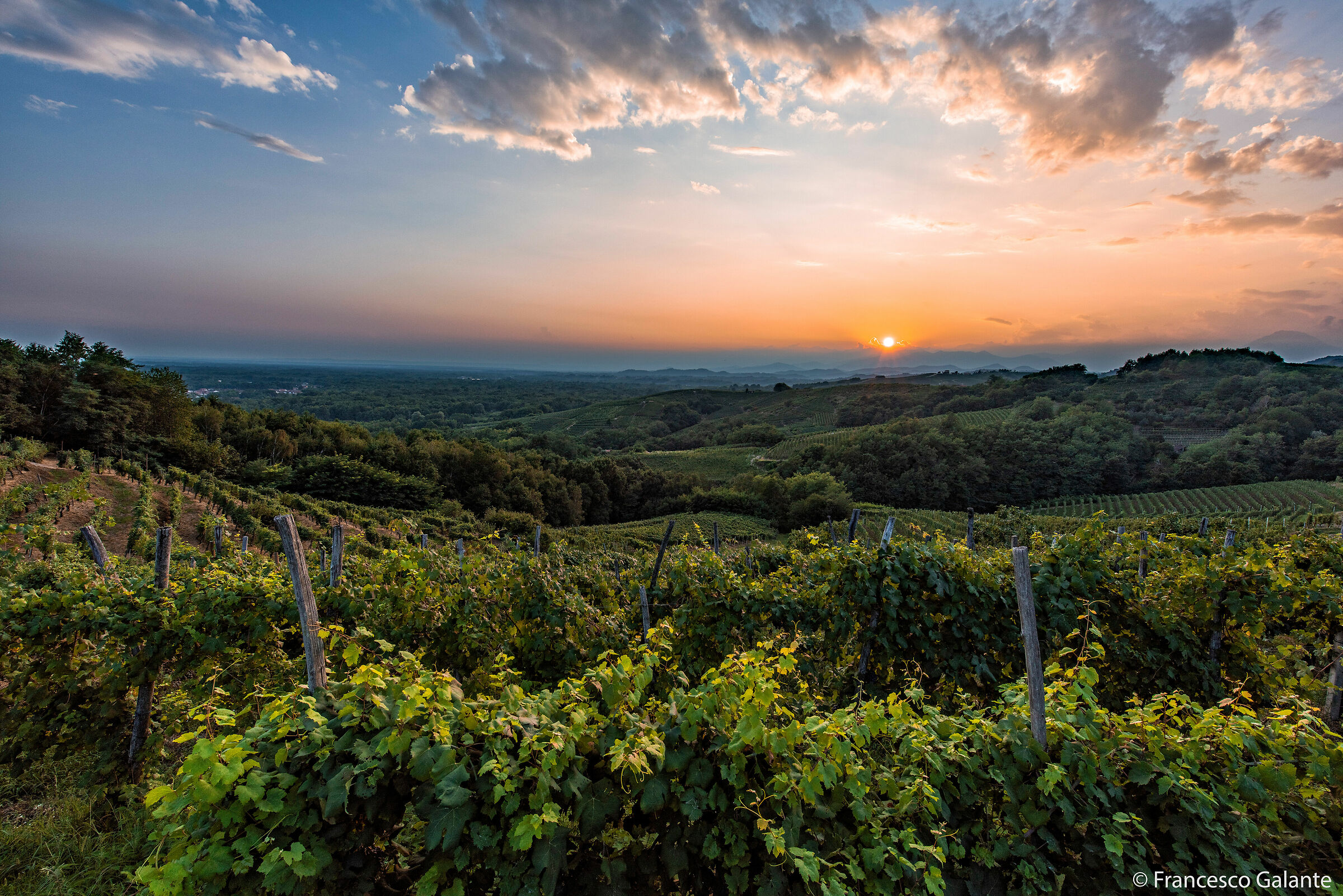 Tramonto sui Vigneti di Gattinara (vc)