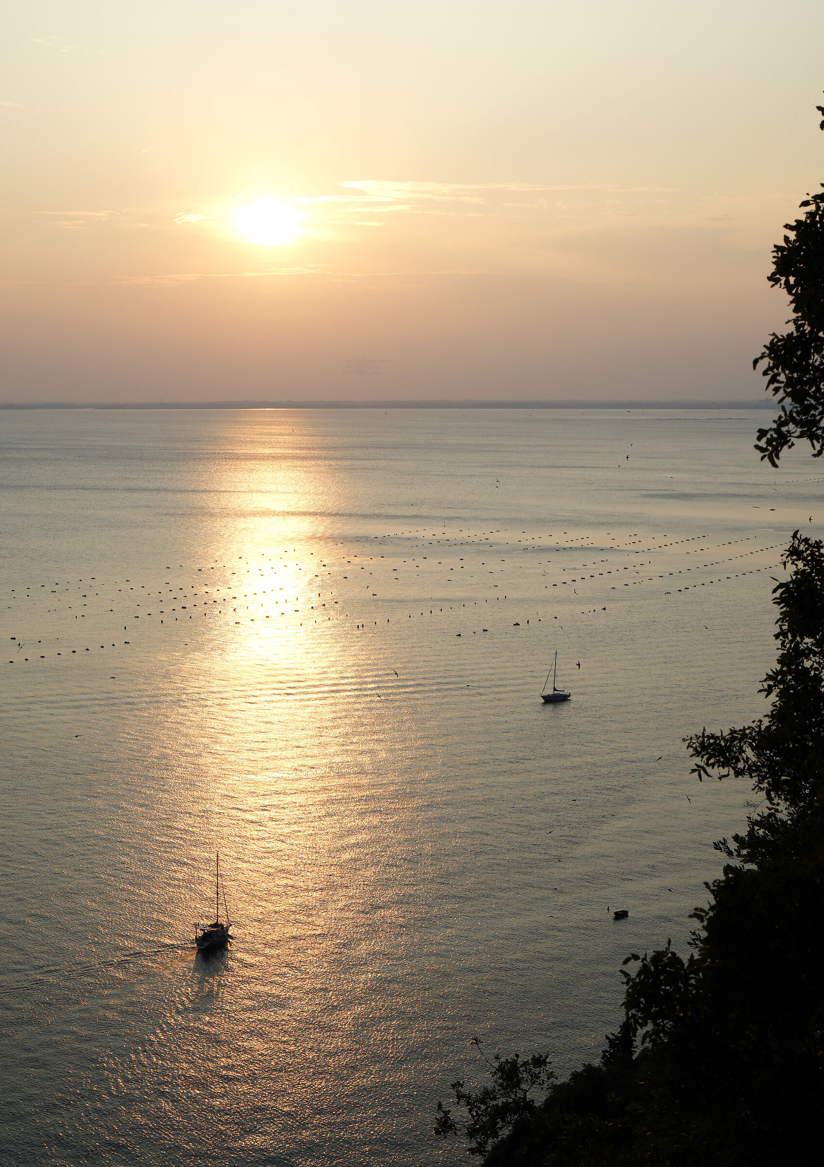 Sunset over the Upper Adriatic, near Duino