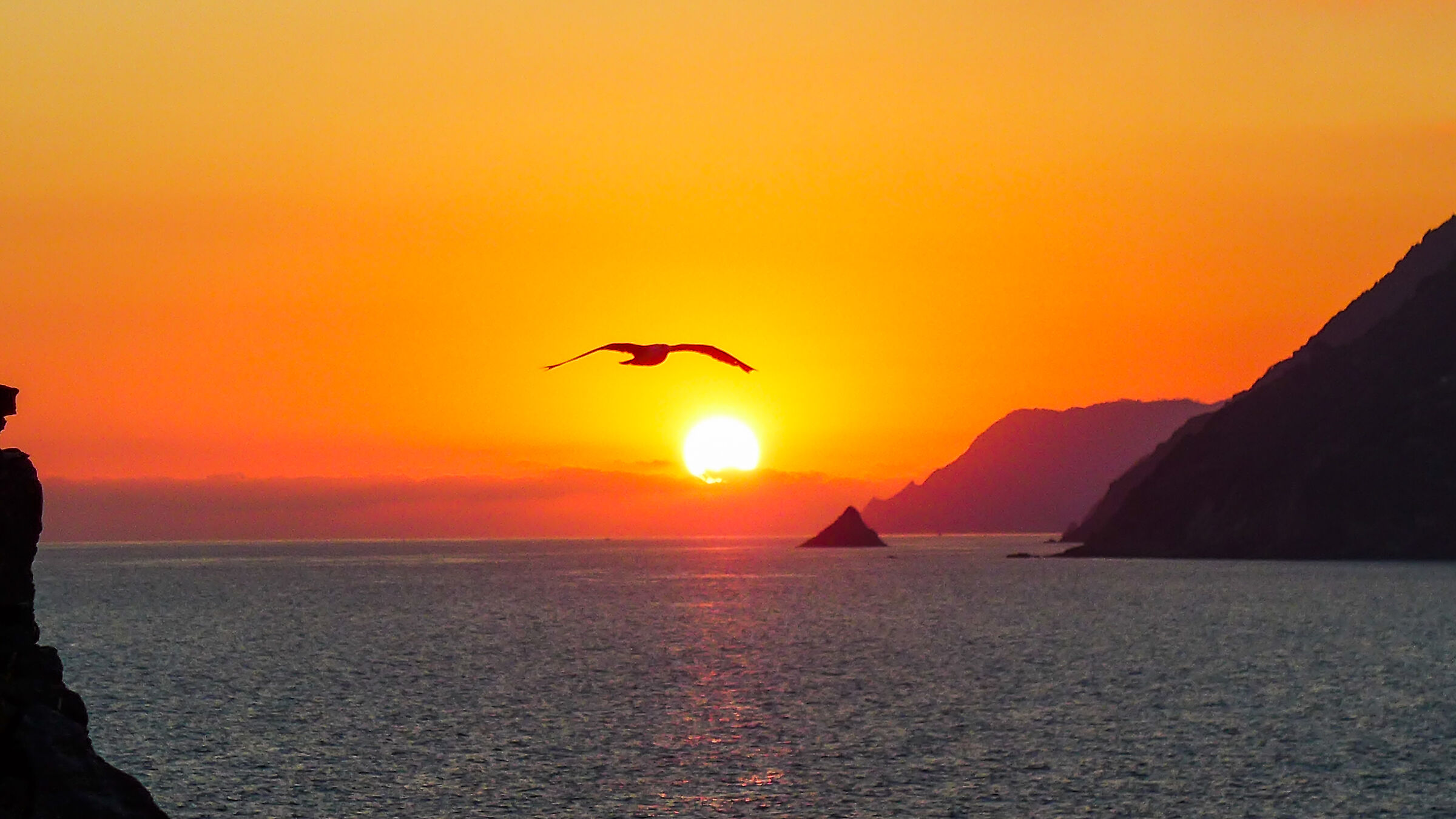 Il saluto del gabbiano