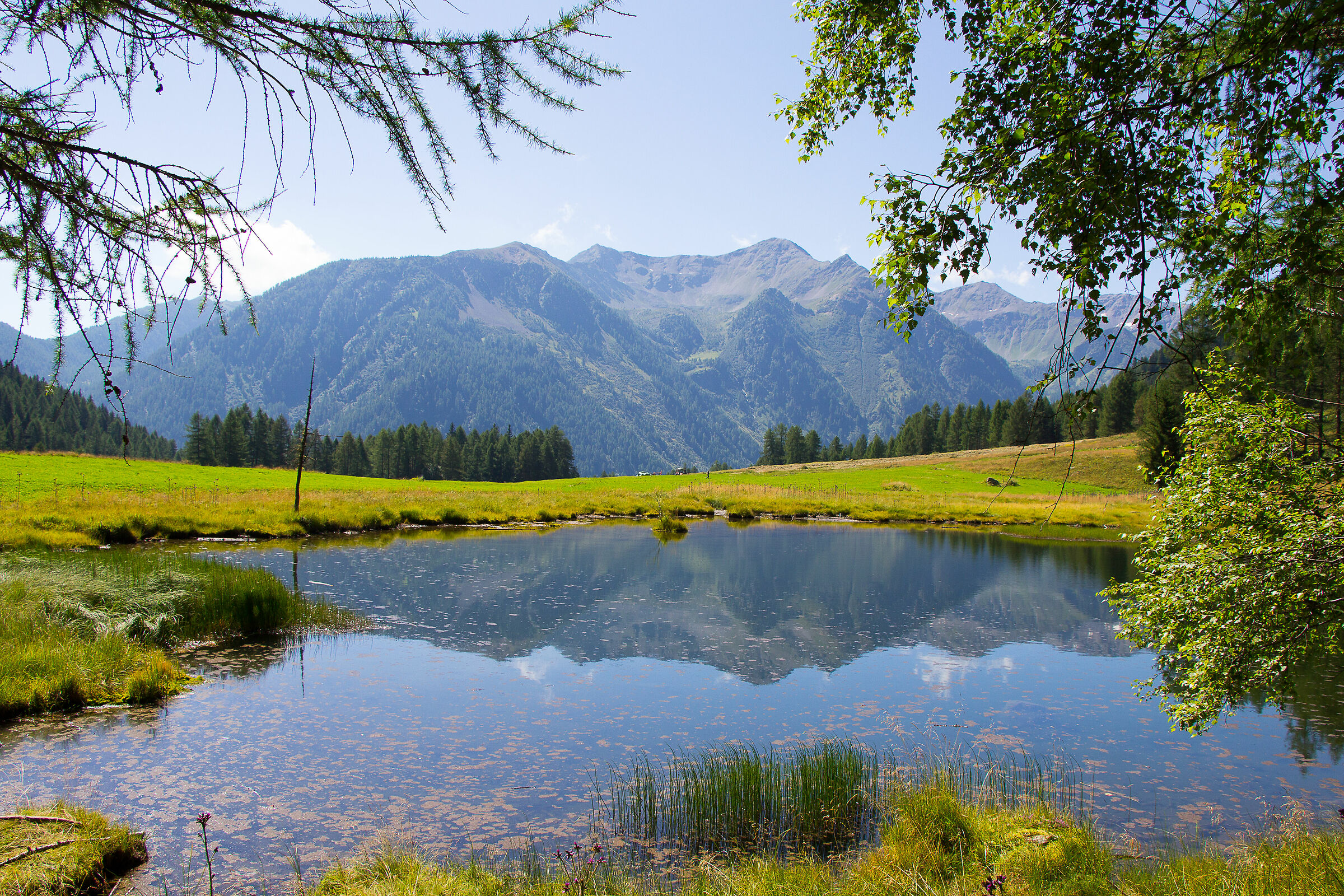 cartolina dalla montagna