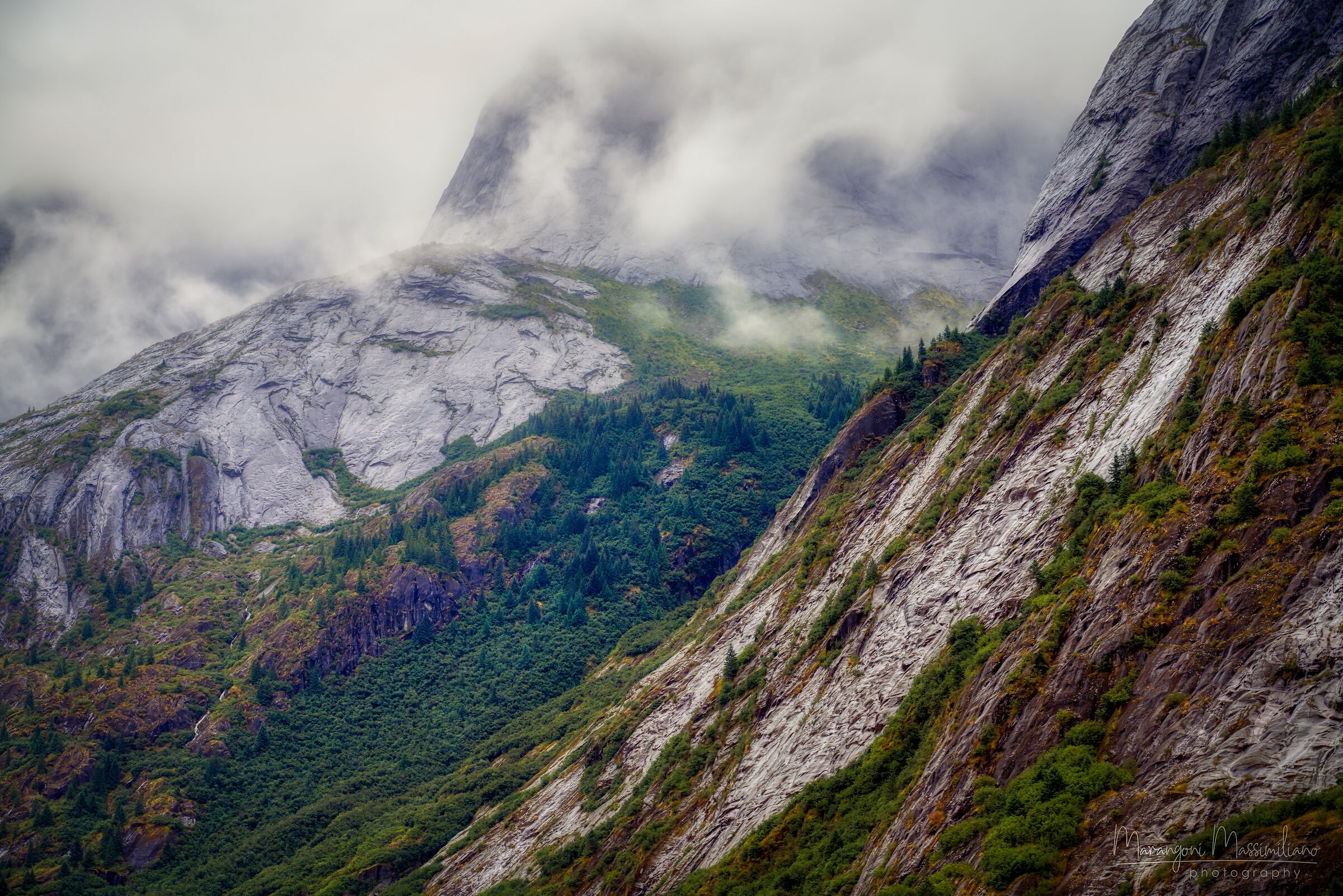 2019 Alaska Glacier Bay