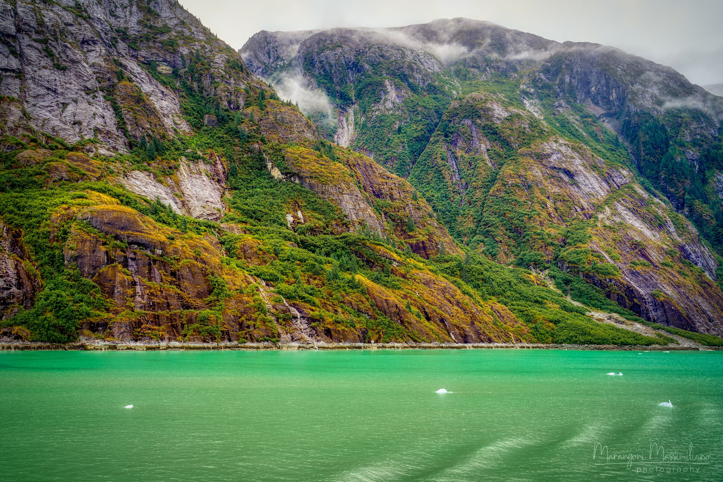 2019 Alaska Glacier Bay