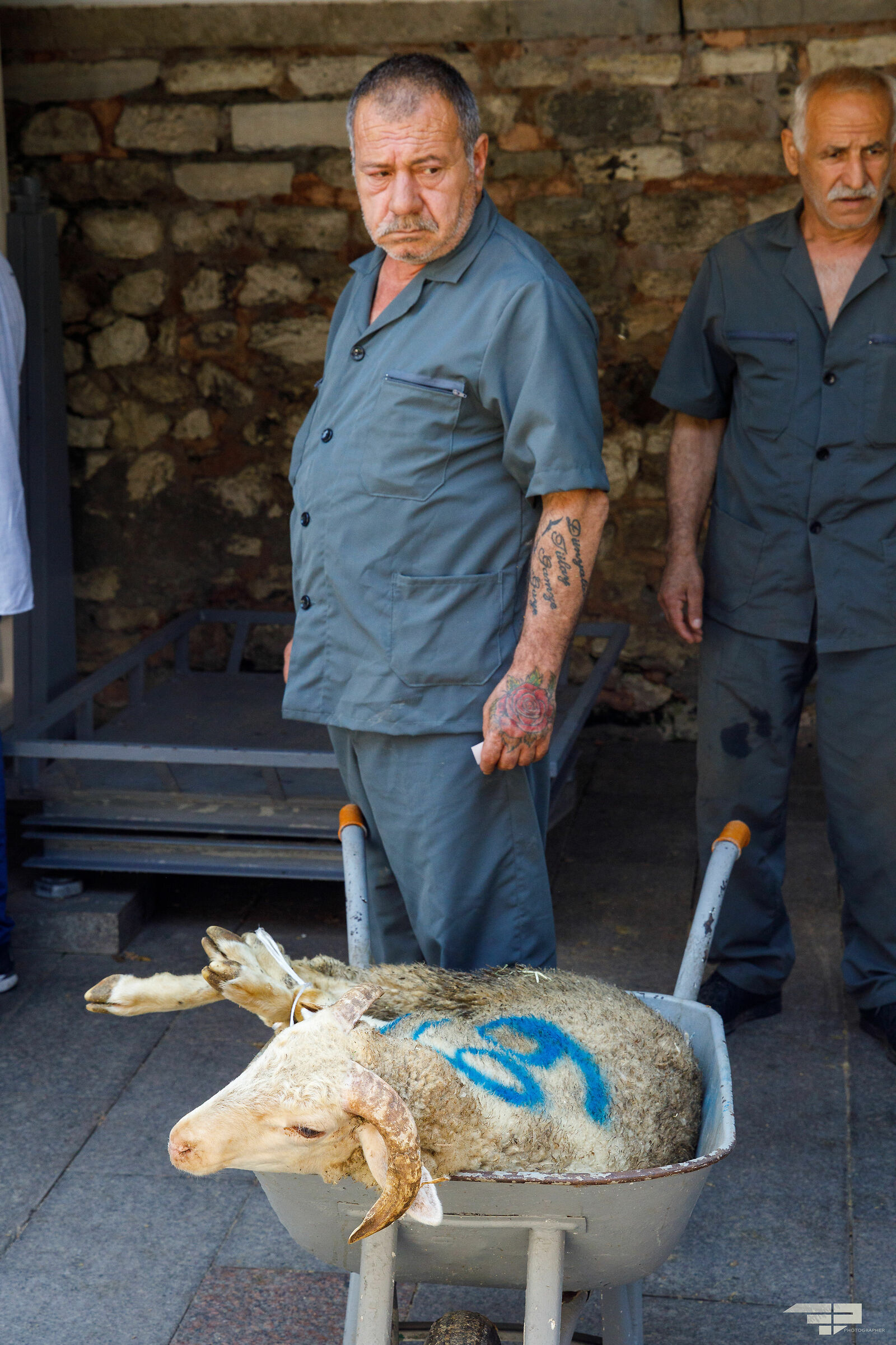 sacrificio dell'agnello