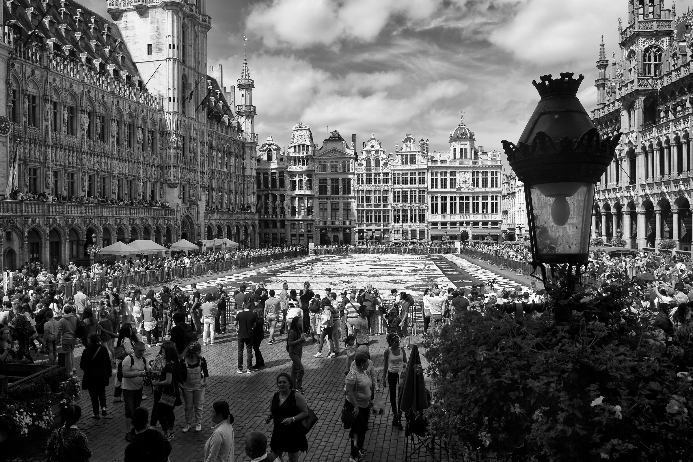 Brussels, Flowers carpet in Grand Place