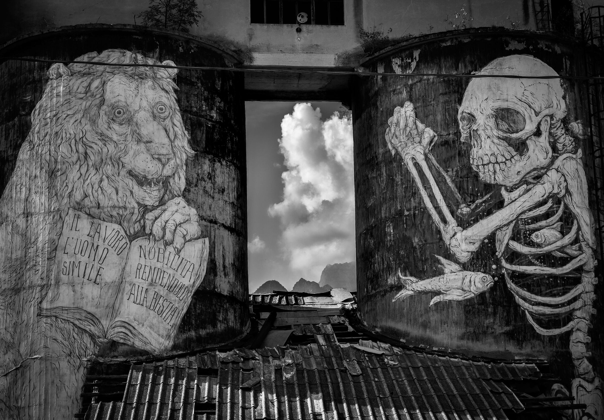 Sass Muss, Ericailcane Murales