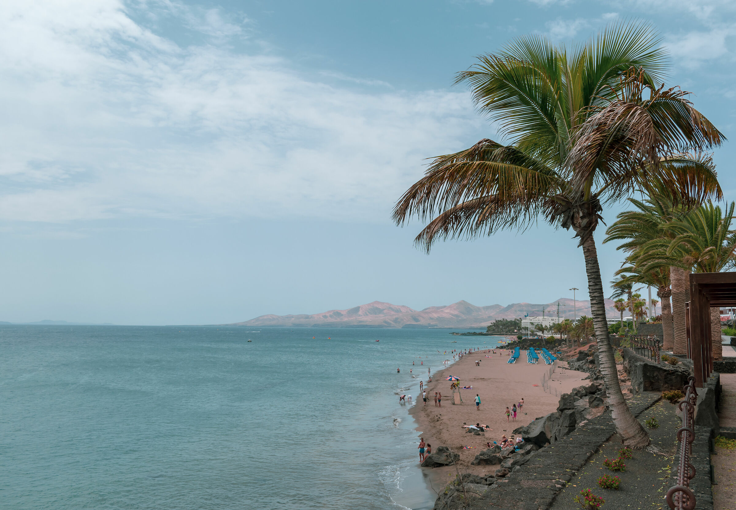 The palm (Lanzarote)