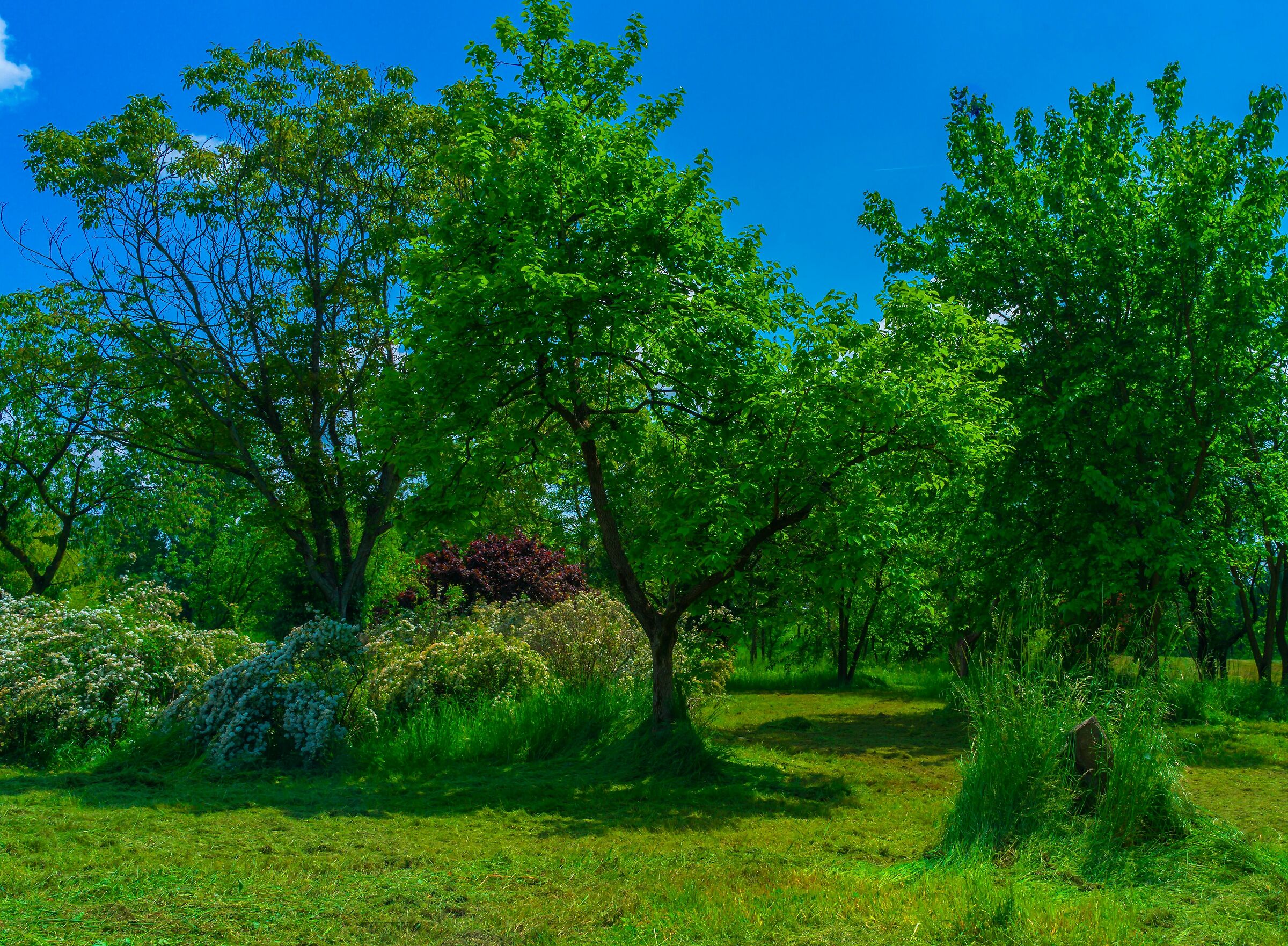 Composizione colorata