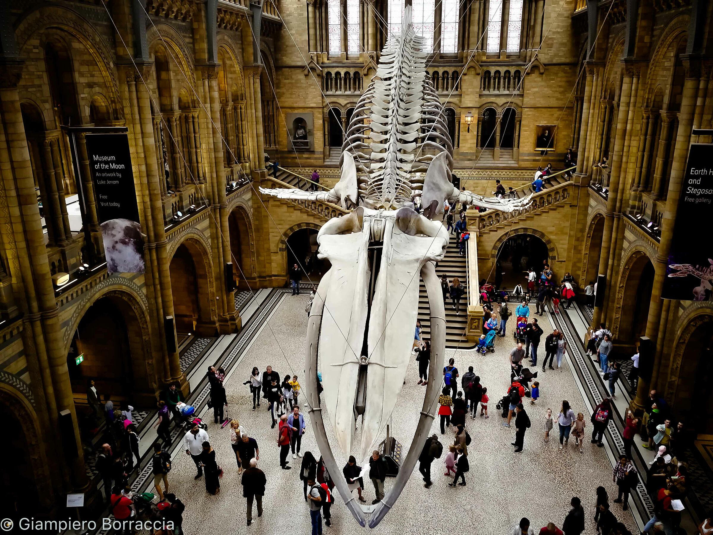 Natural History Museum