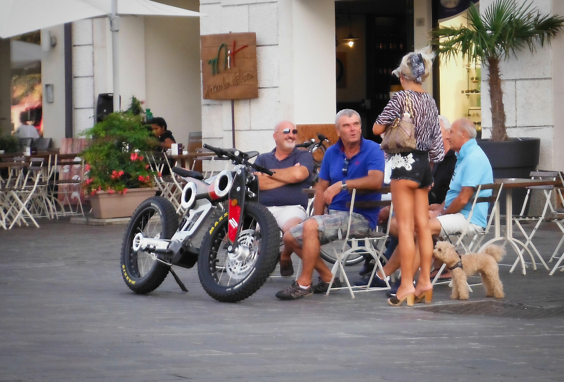 eravamo quattro amici al bar