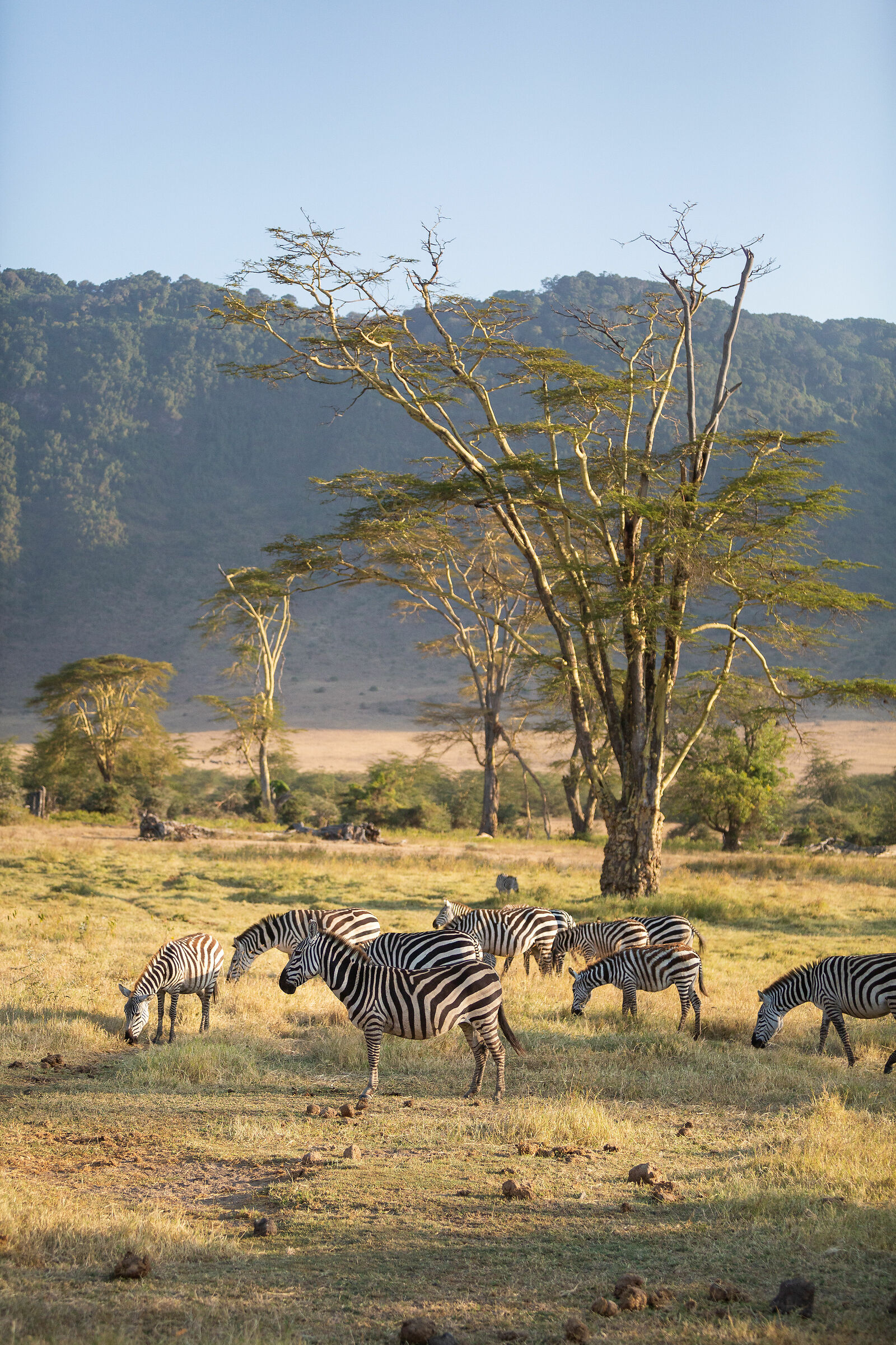 Glimpse of the Ngorngoro