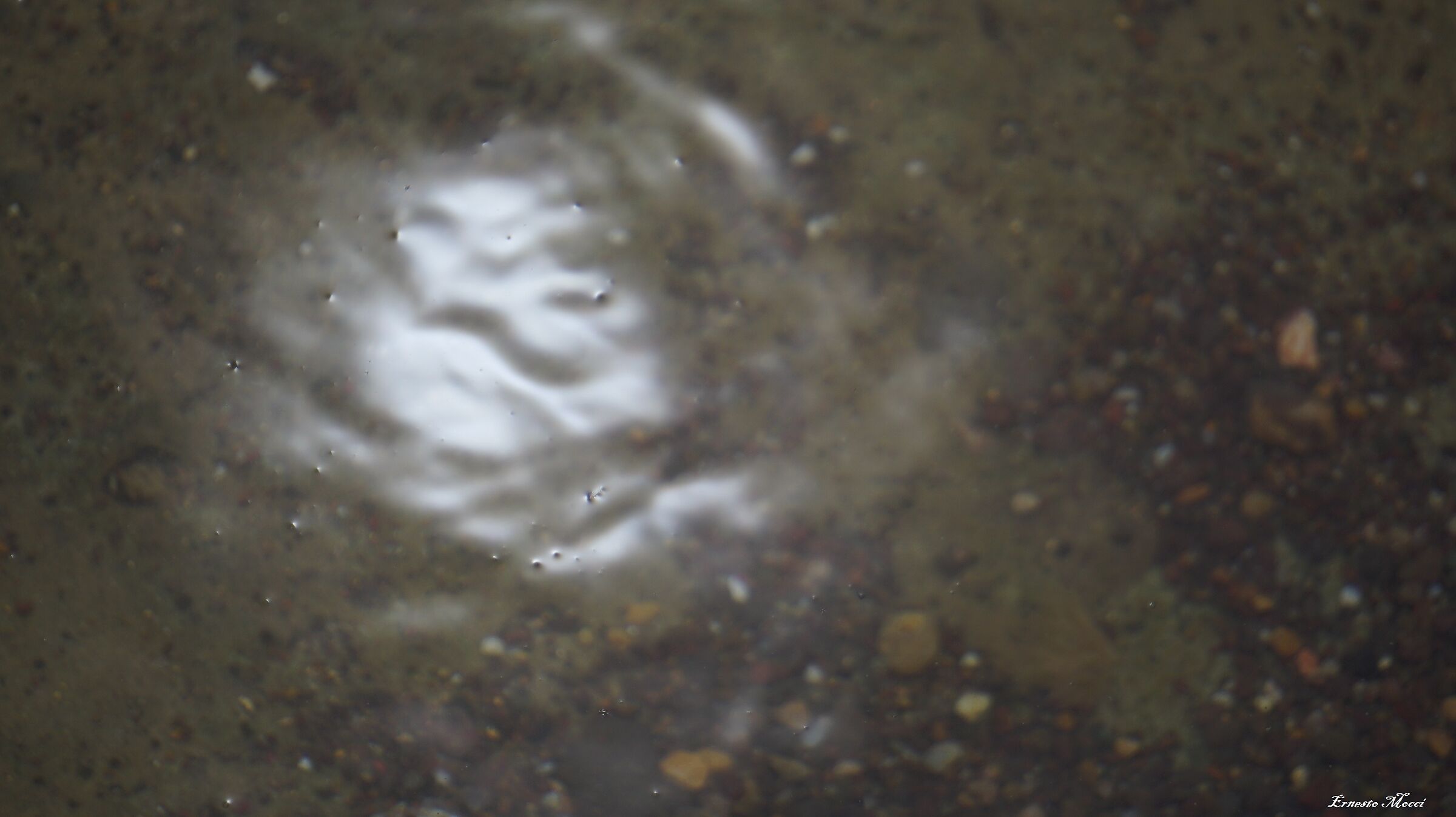 Rub your eyes; it's true