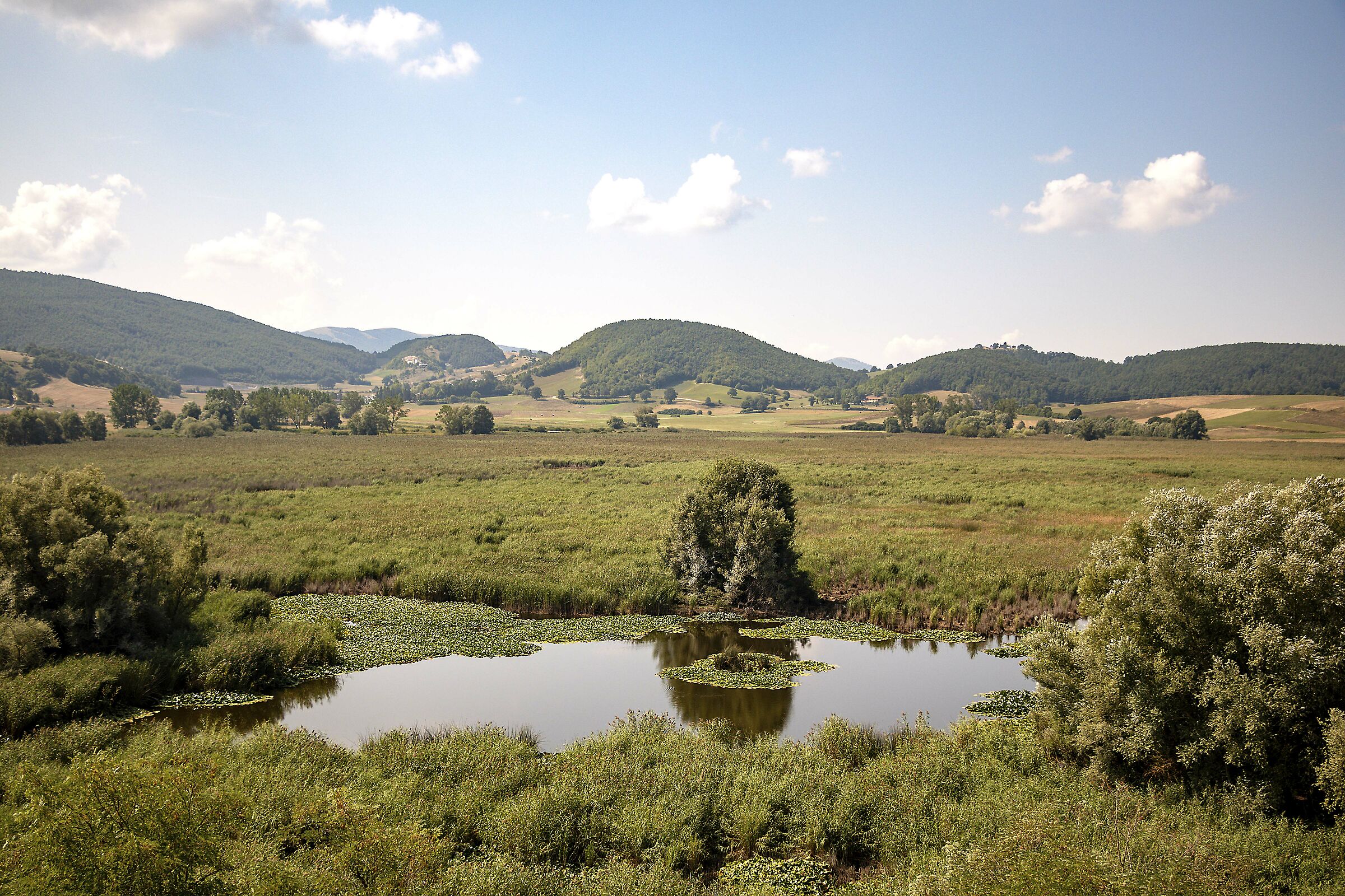Palude di Colfiorito, Palude lago lake swamp palud all'