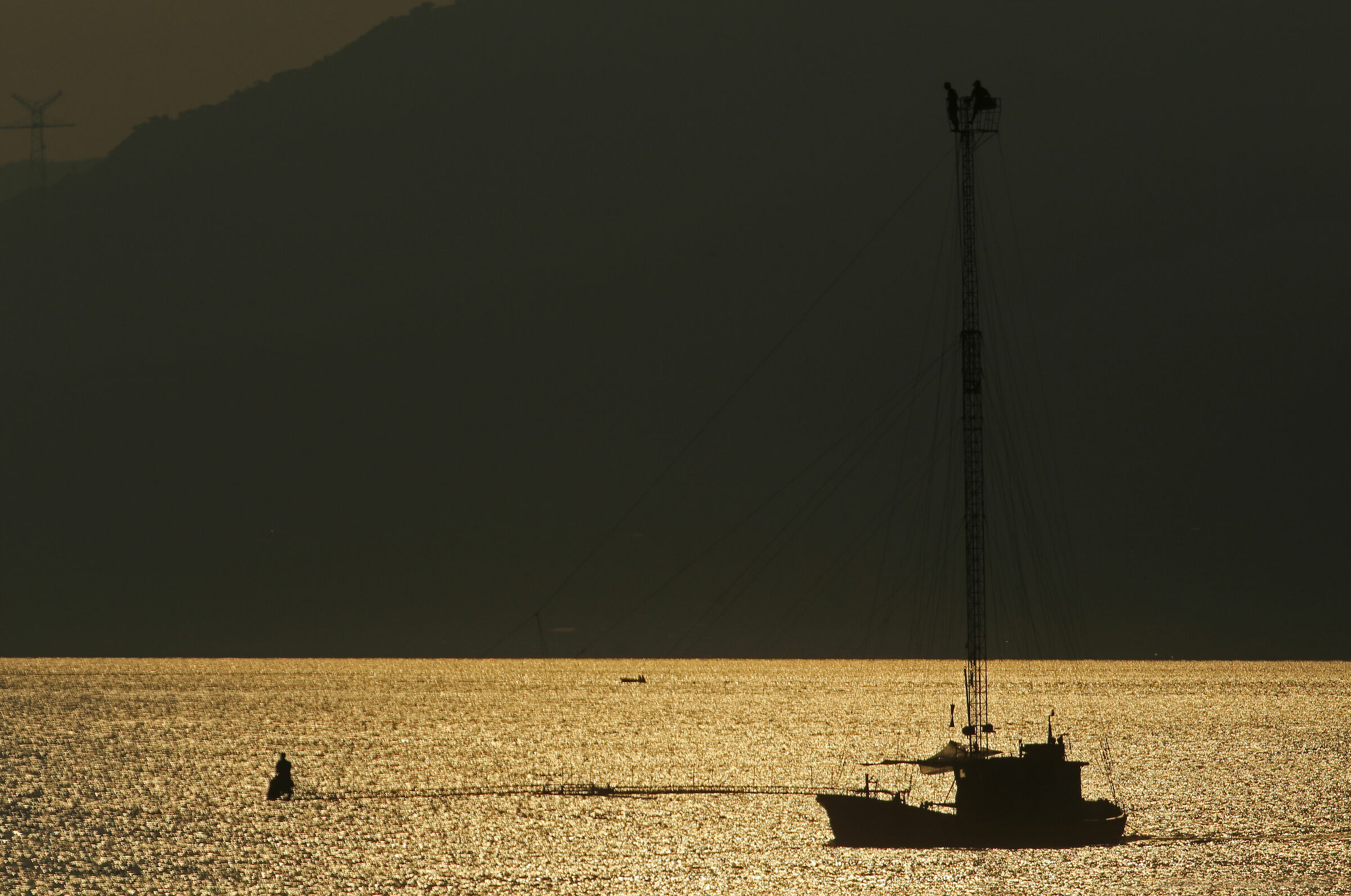 La pesca del pesce spada sullo stretto di Messina 2