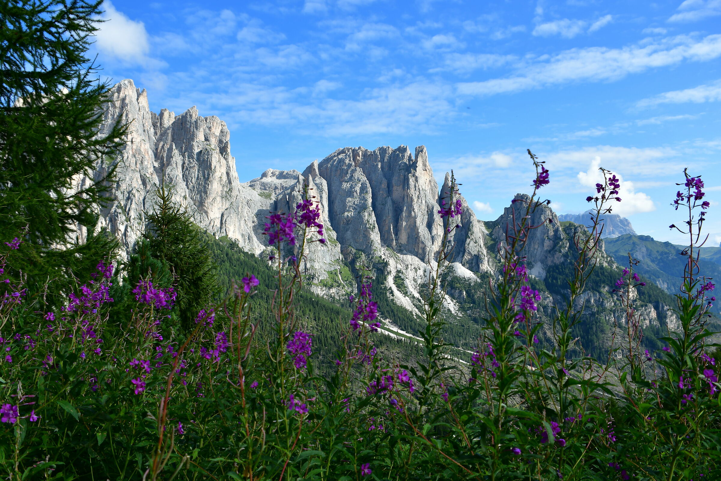 Dolomites Group of Catinaccio
