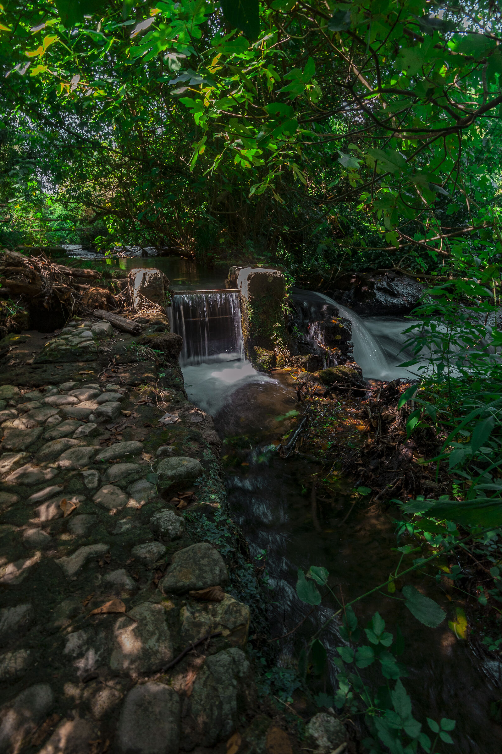 cascate monte gelato