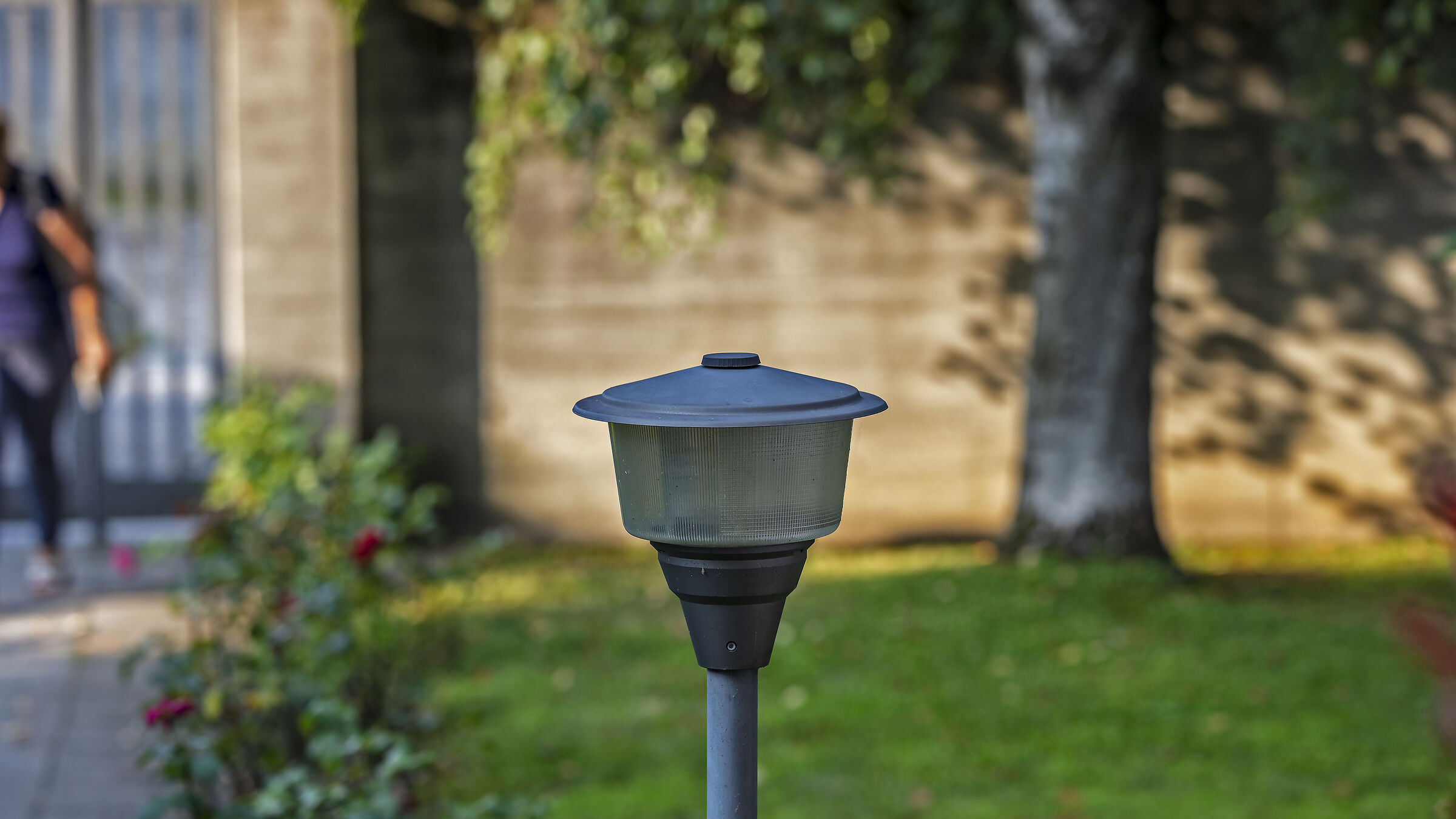 The lamppost of my garden