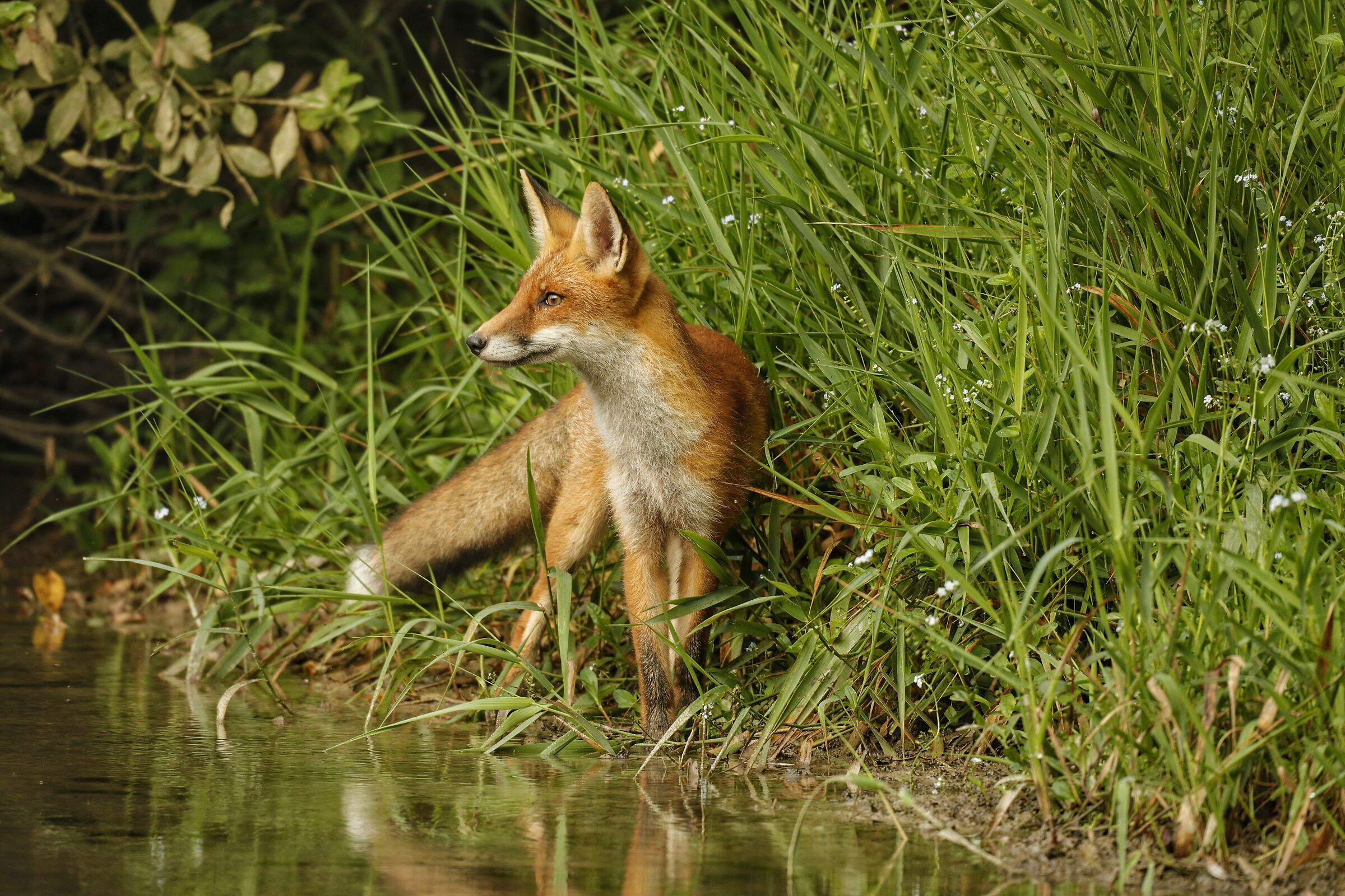 Unexpected Encounters