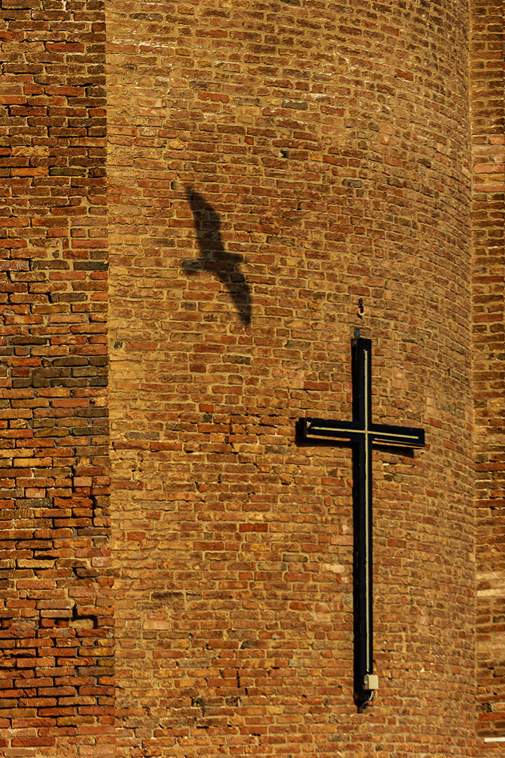 The Cross and the Seagull...