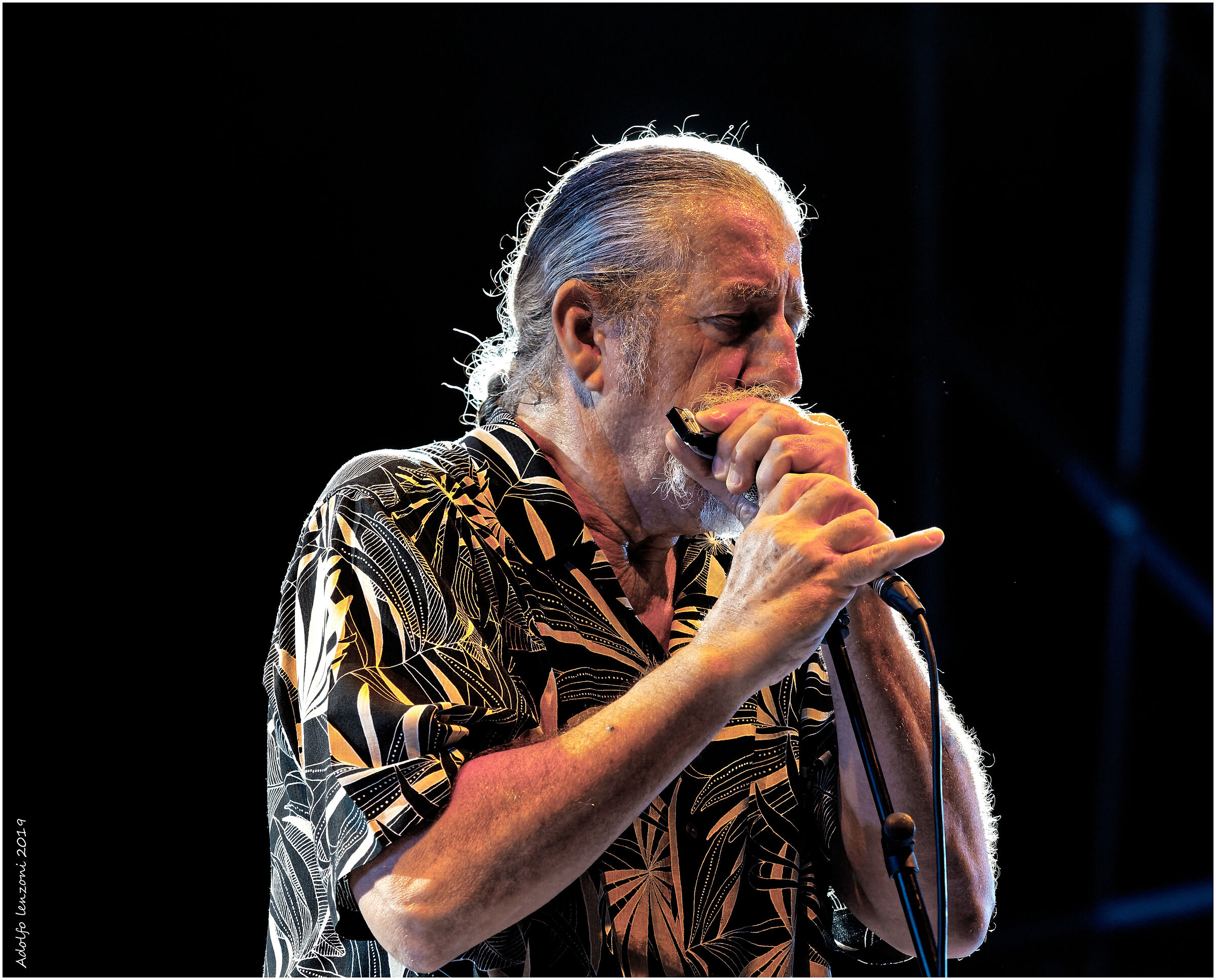 Fabio Treves al Seravezza Blues Festival.