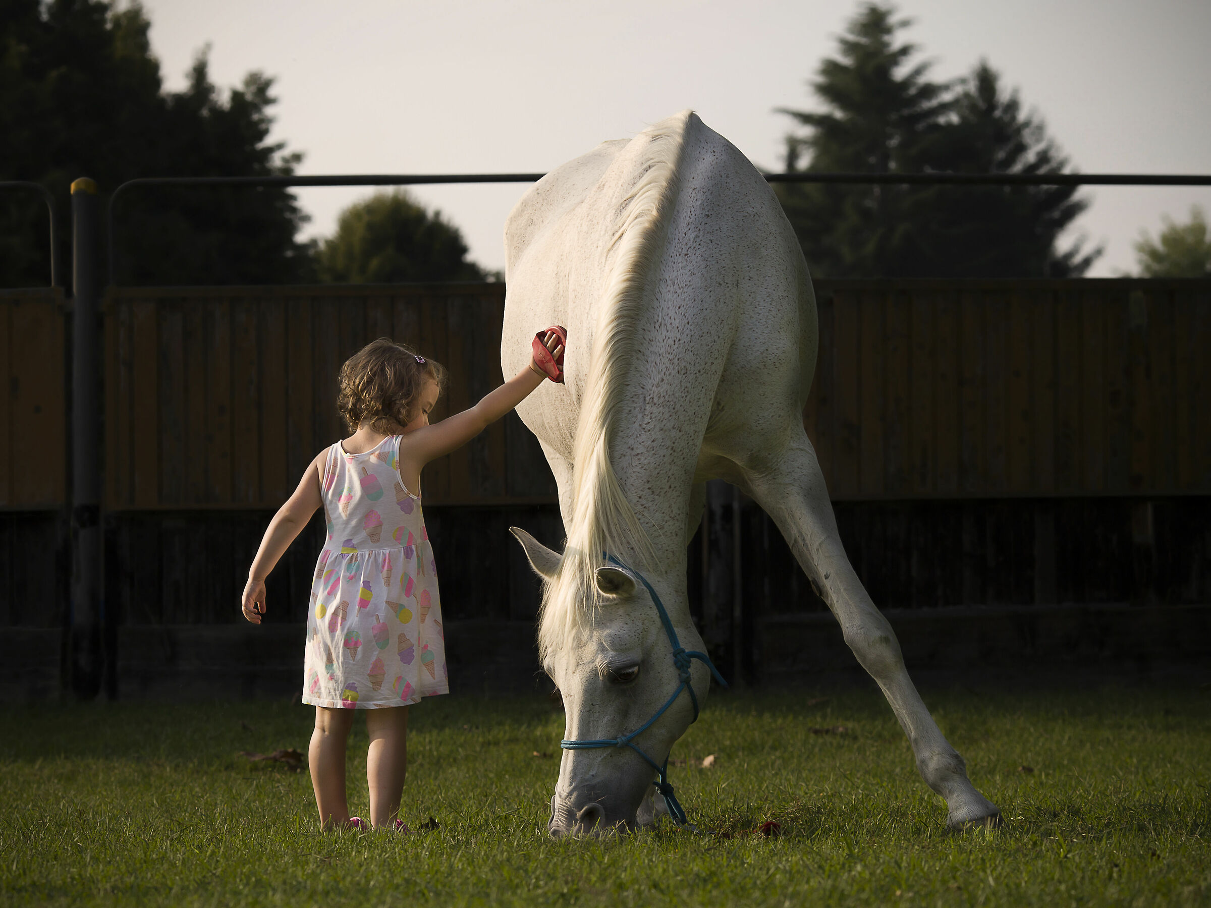first time at the stable