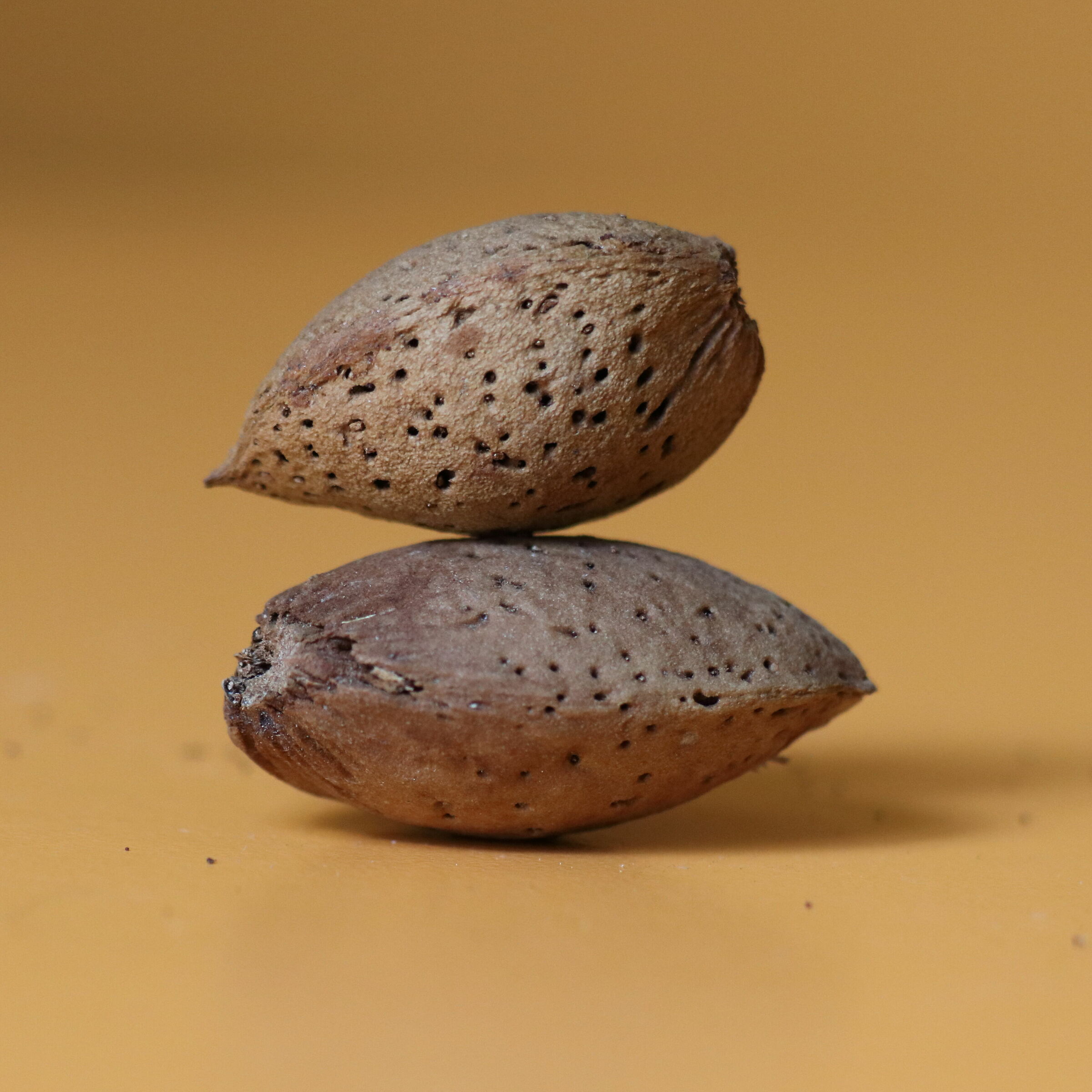 Sicilian almonds