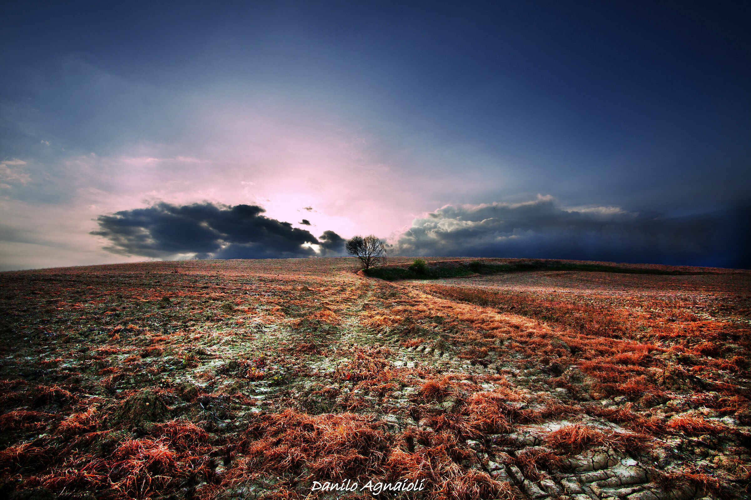 On another planet, maybe.