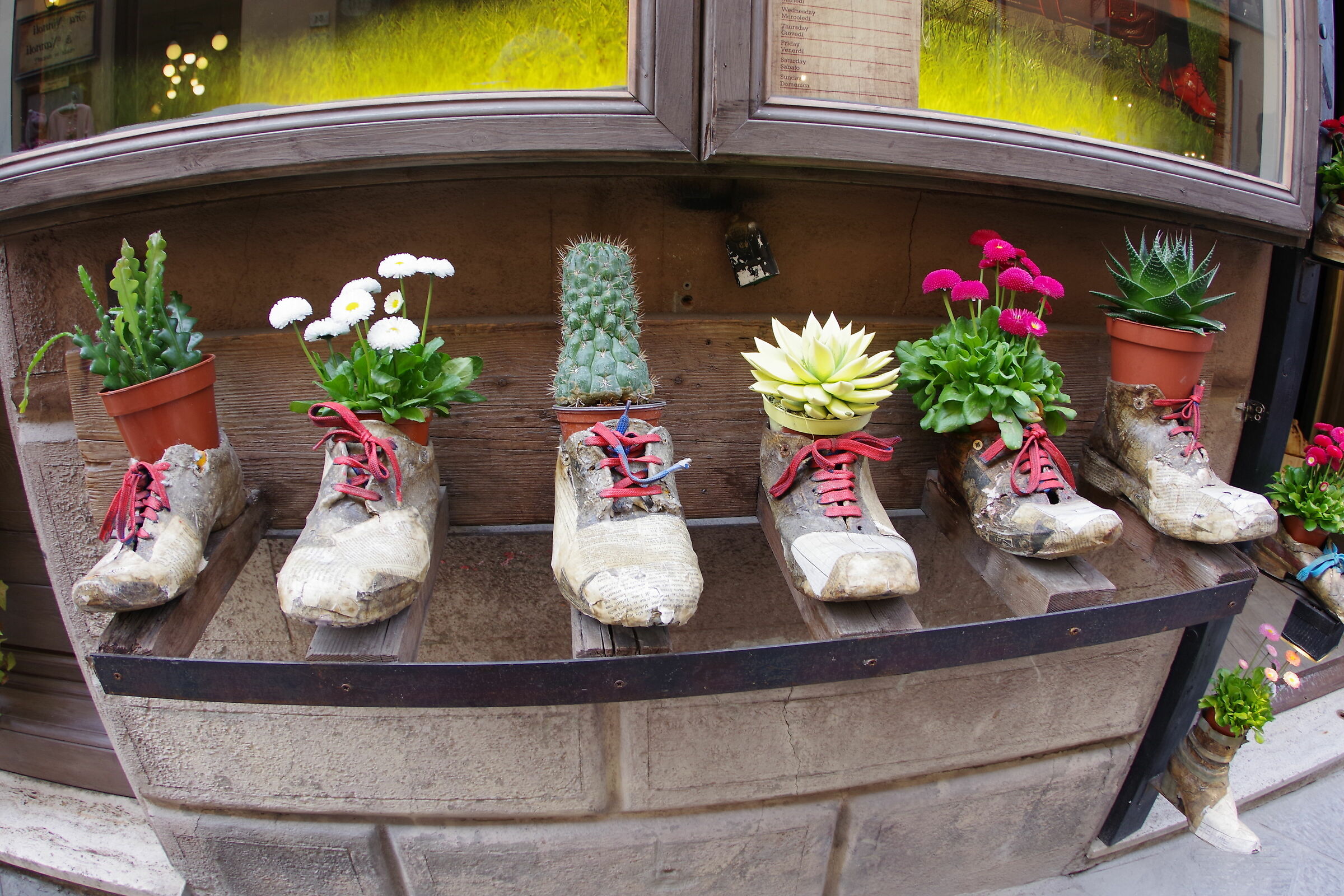 Shoes in Flower