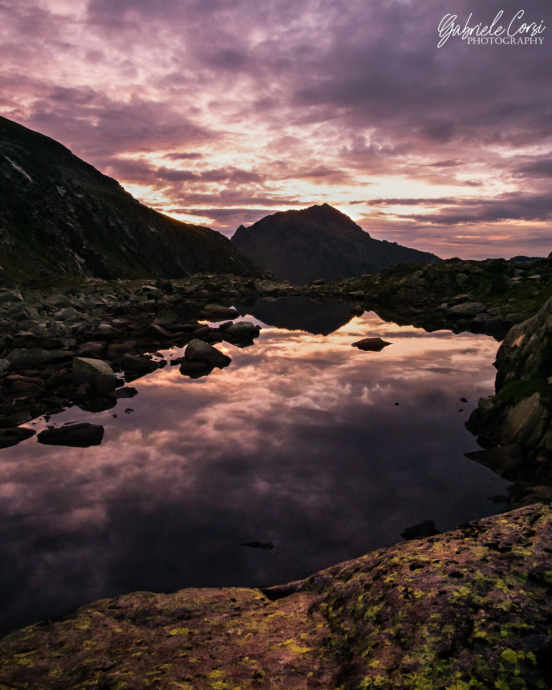 Rosa al Laghetto Lagorai
