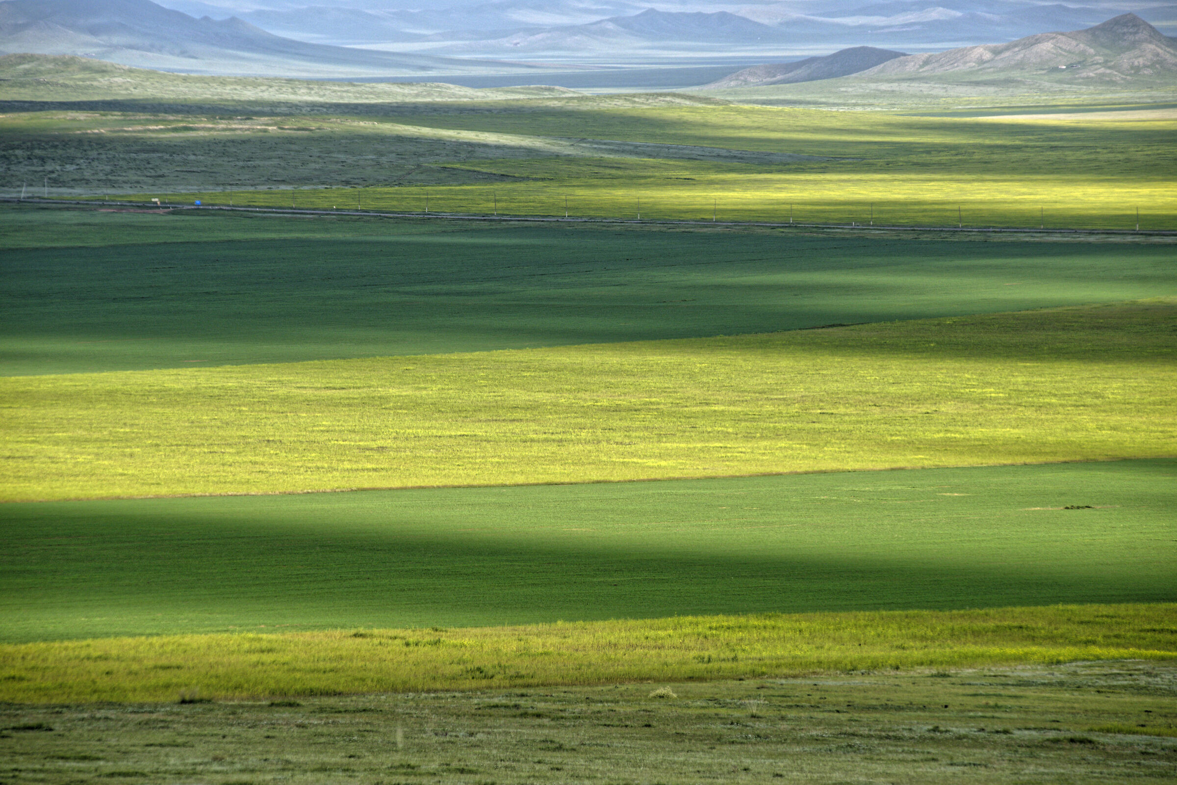 Mongolian Landscape