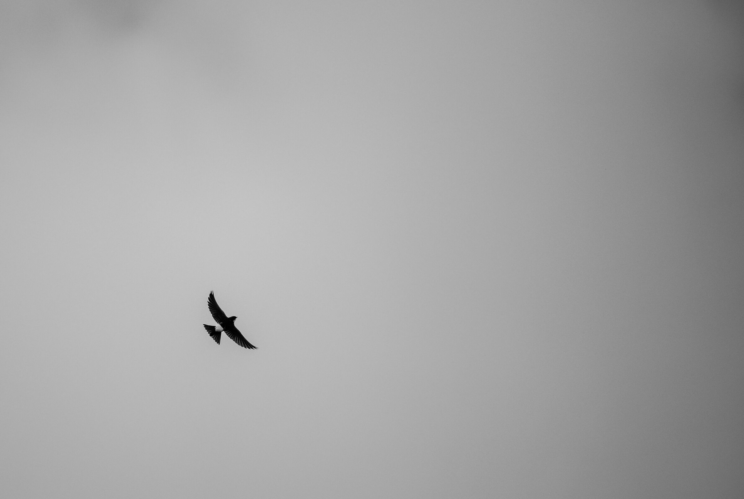 Above the clouds ...