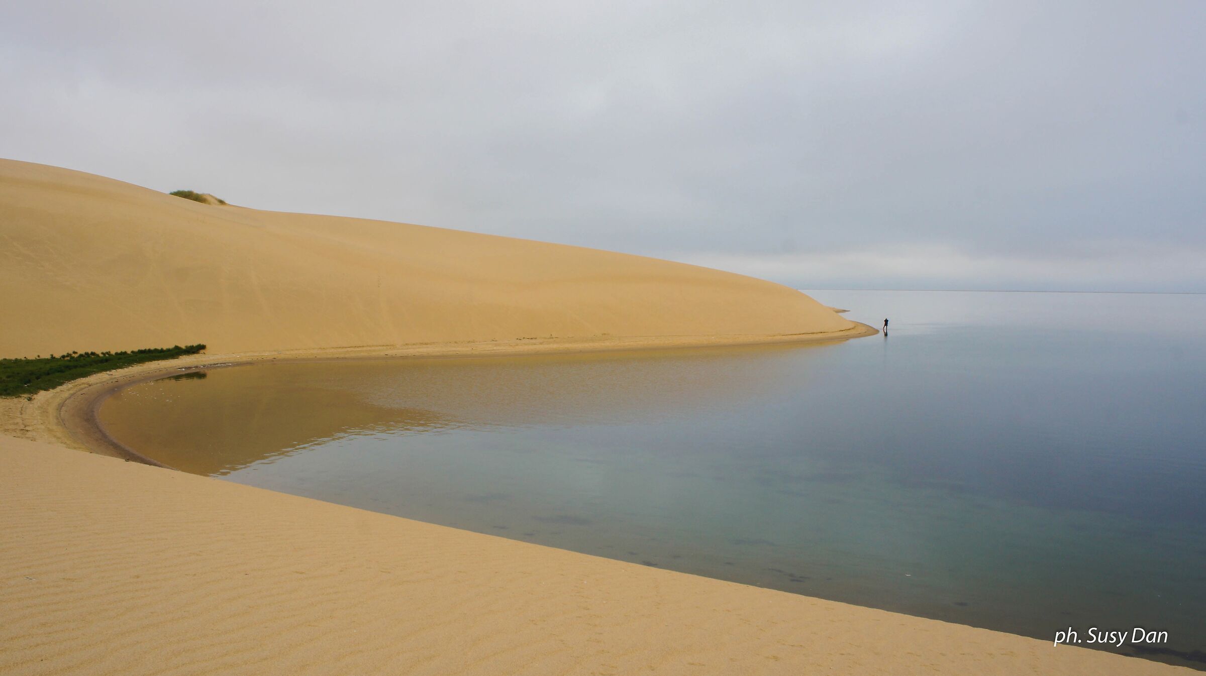 Dove il deserto incontra l'oceano