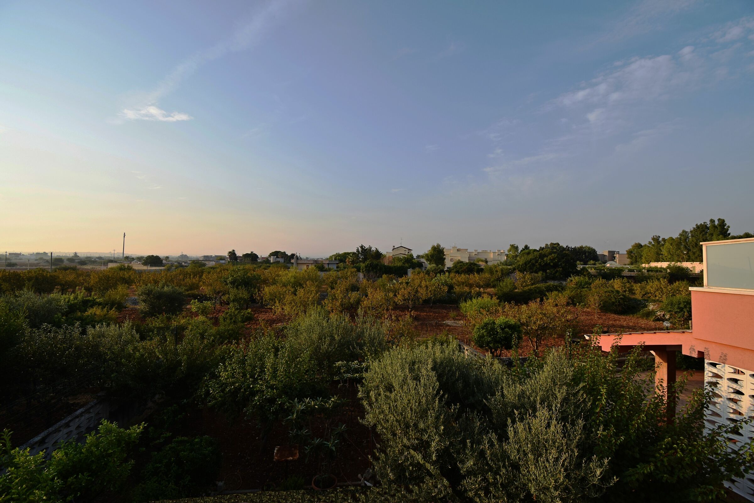 Dolci risvegli pugliesi